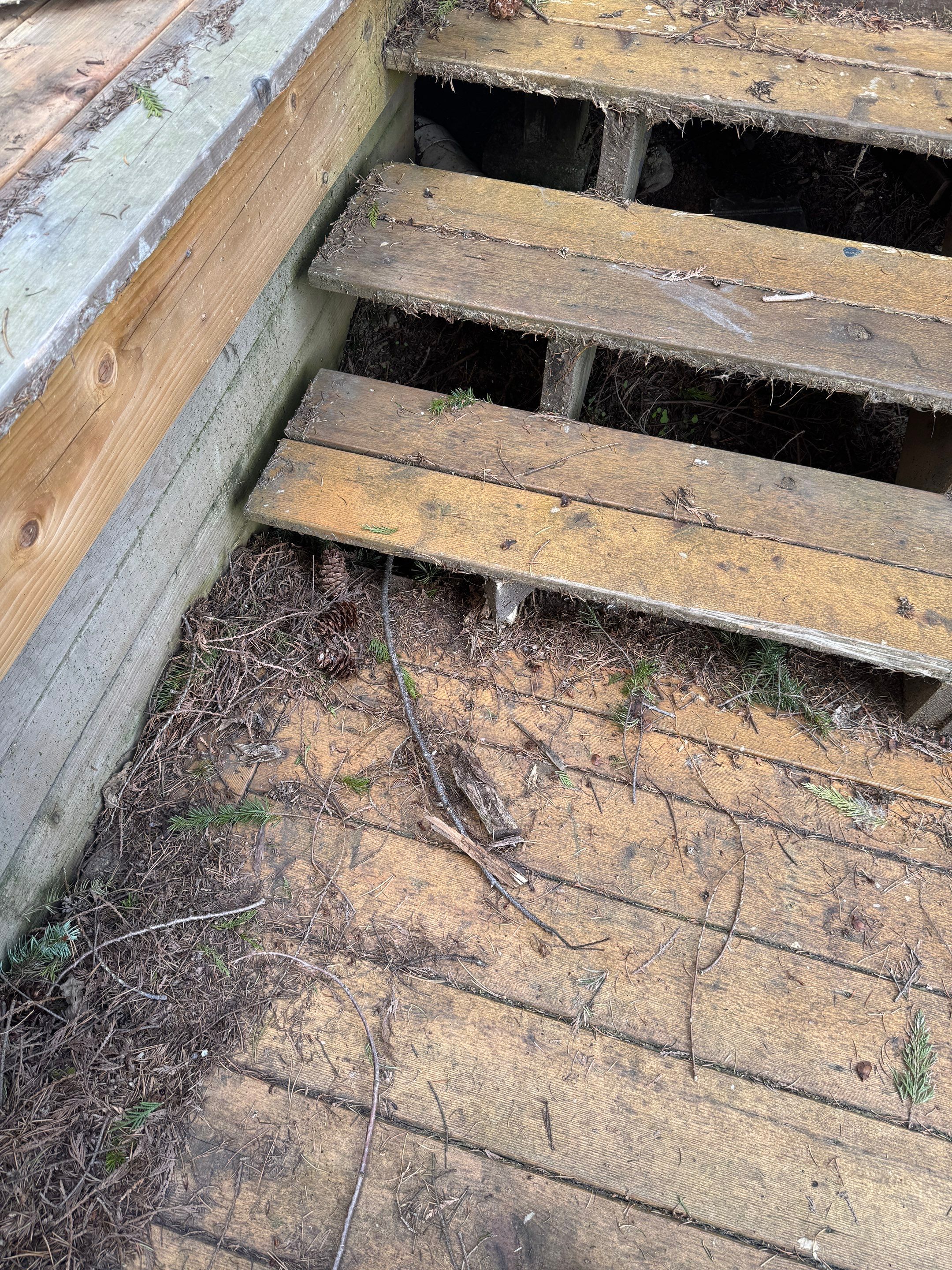 Rental Property Rehab After Tenant Eviction by YVR Construction Group