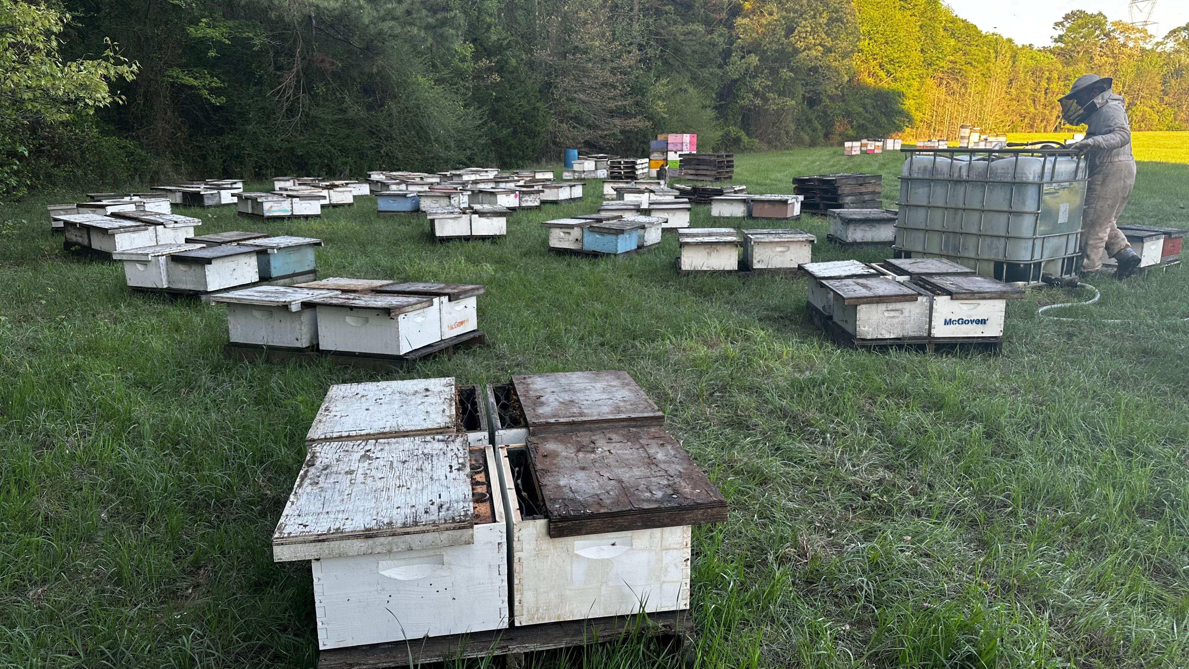 Traylor's Hay Meadow Apiary by Rockwall Honey Bee Company