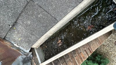 Turtle Shell gutter protection installation in Naperville, IL 60540, photograph 17