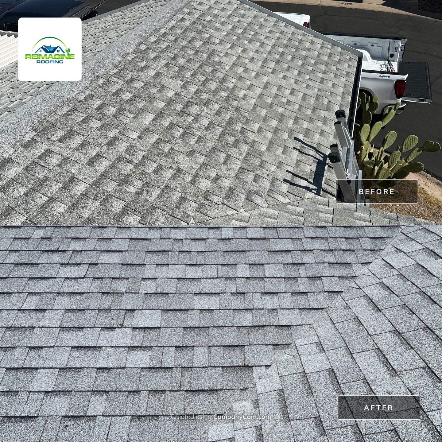 Silver Birch Shingles by Reimagine Roofing
