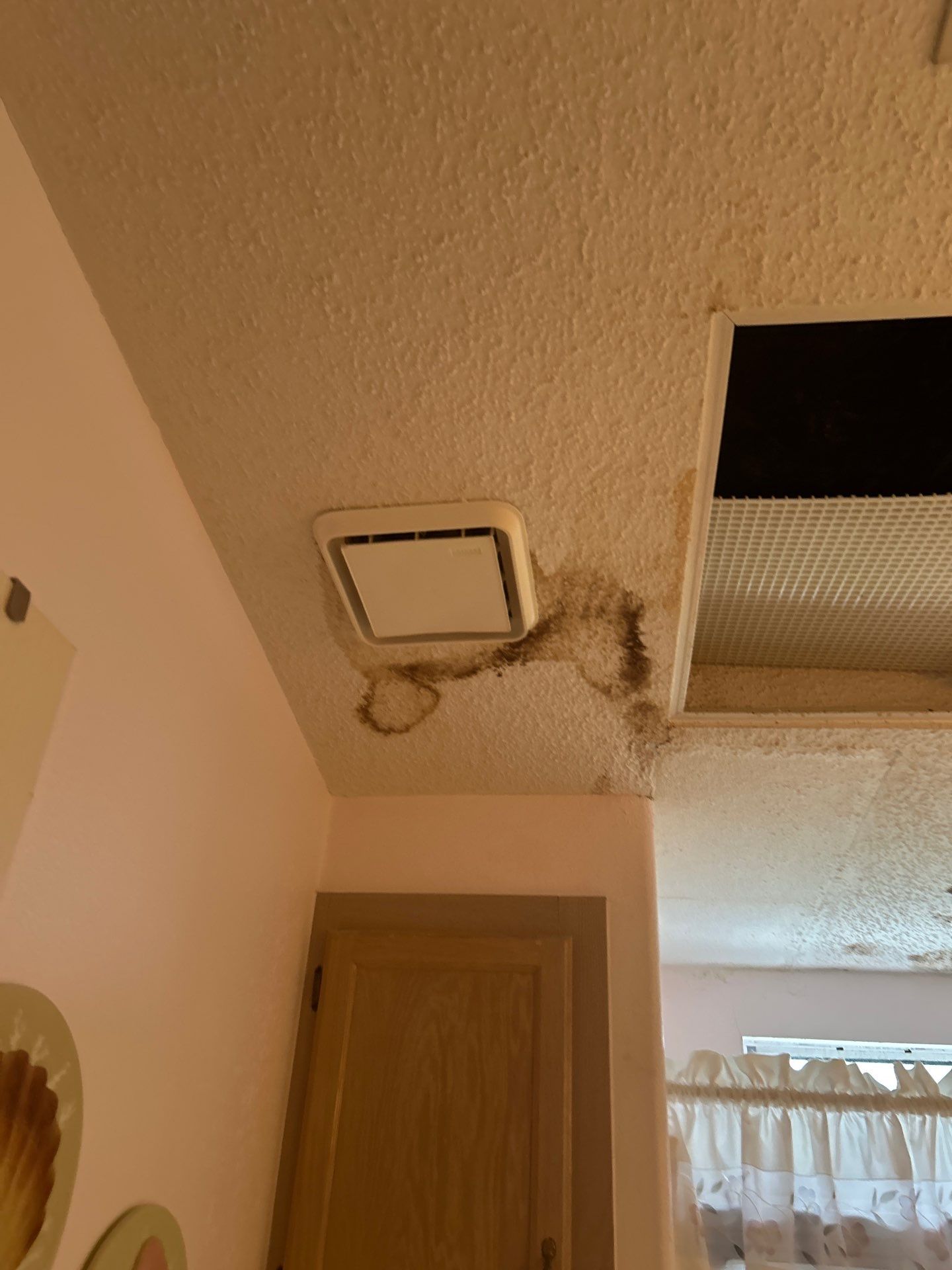 Water Damage In Palmetto by Ampm Restoration Services