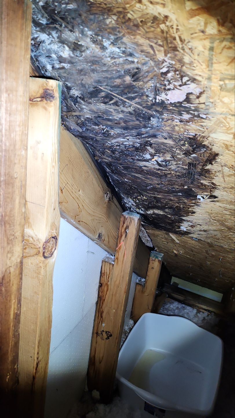 Resolving Leaks, Restoring Attic!  by Georgia Roof Advisors