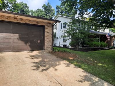 Tree Removal using Tree Removal