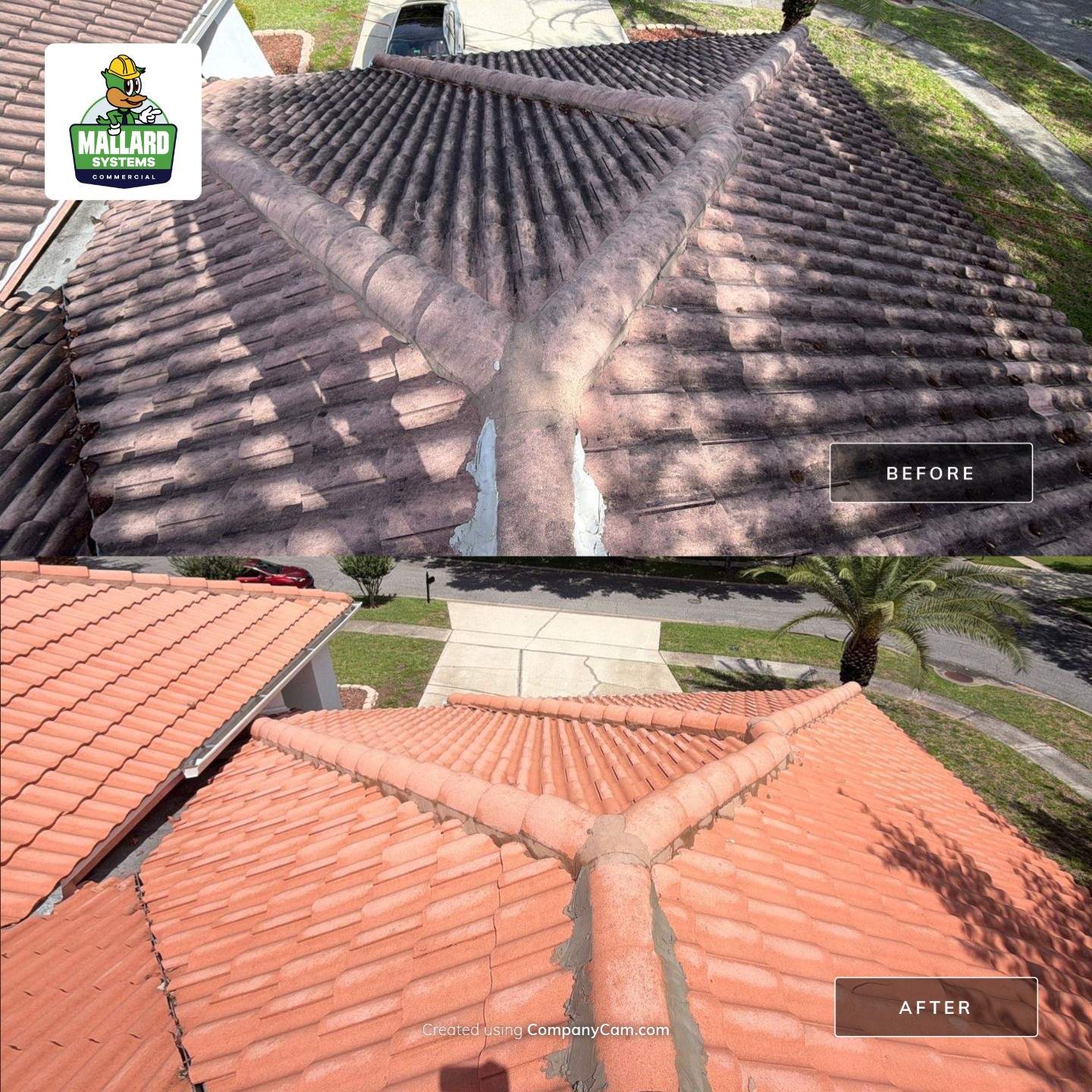 Tile Roof and Screen Enclosure Cleaning by Mallard Systems