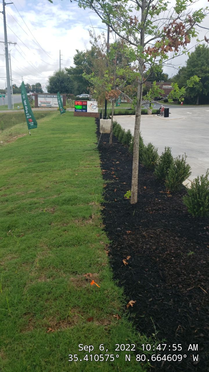 Commercial Landscaping Harris Teeter Fuel Station by Carolina-Metro Landscape, Inc
