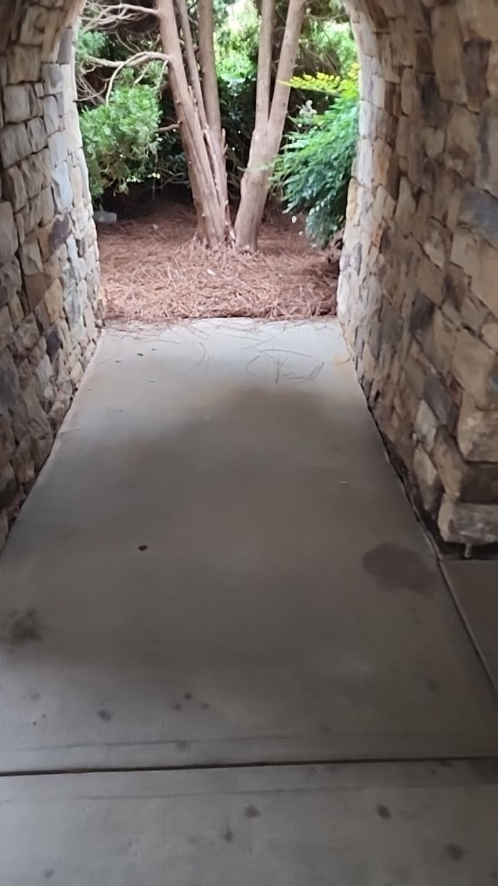 concrete Clean using cleaner by G&H Home Tech Pros LLC