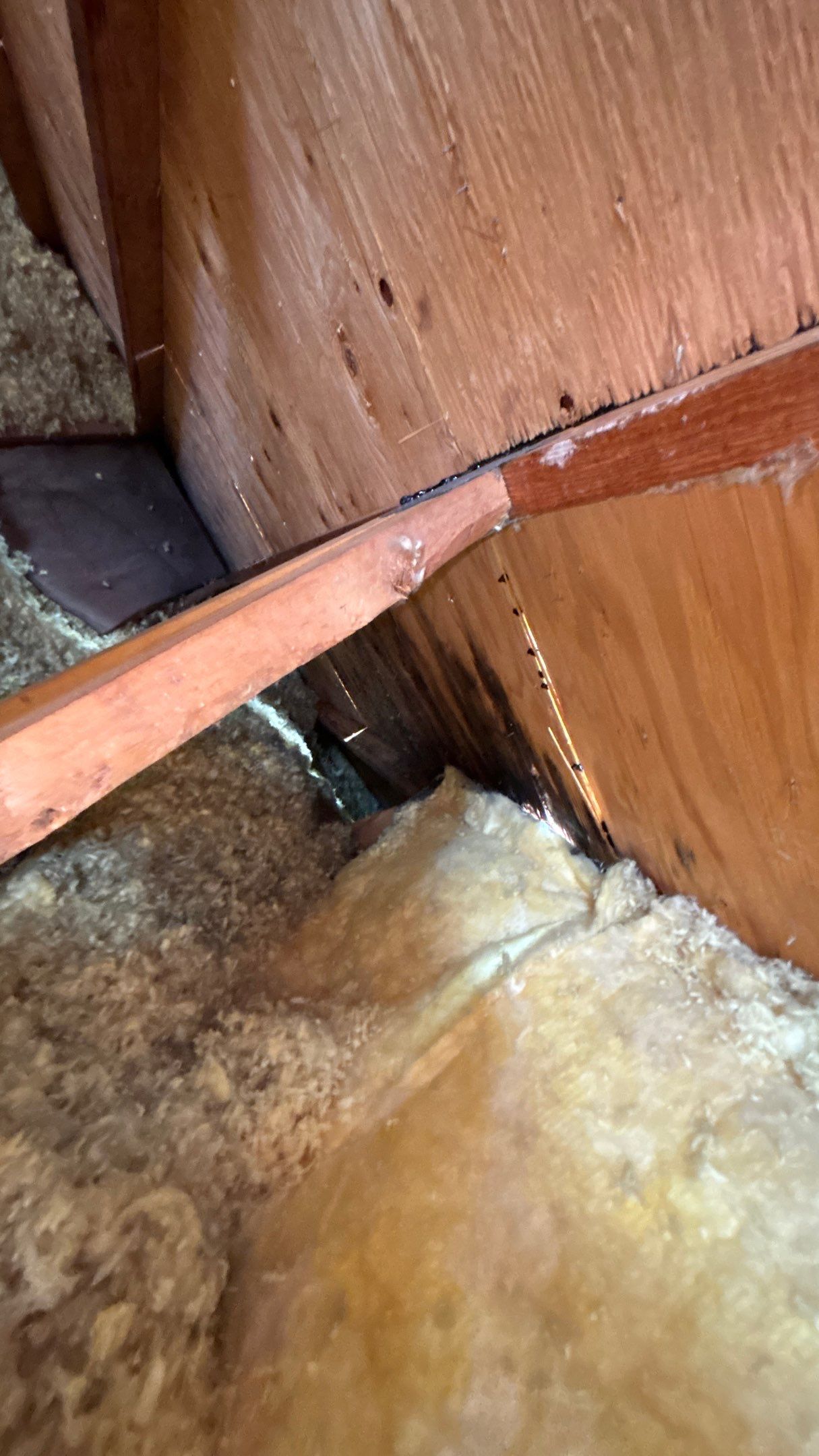 Roof Replacement using Owens Corning Midnight Plum by 180 Contractors