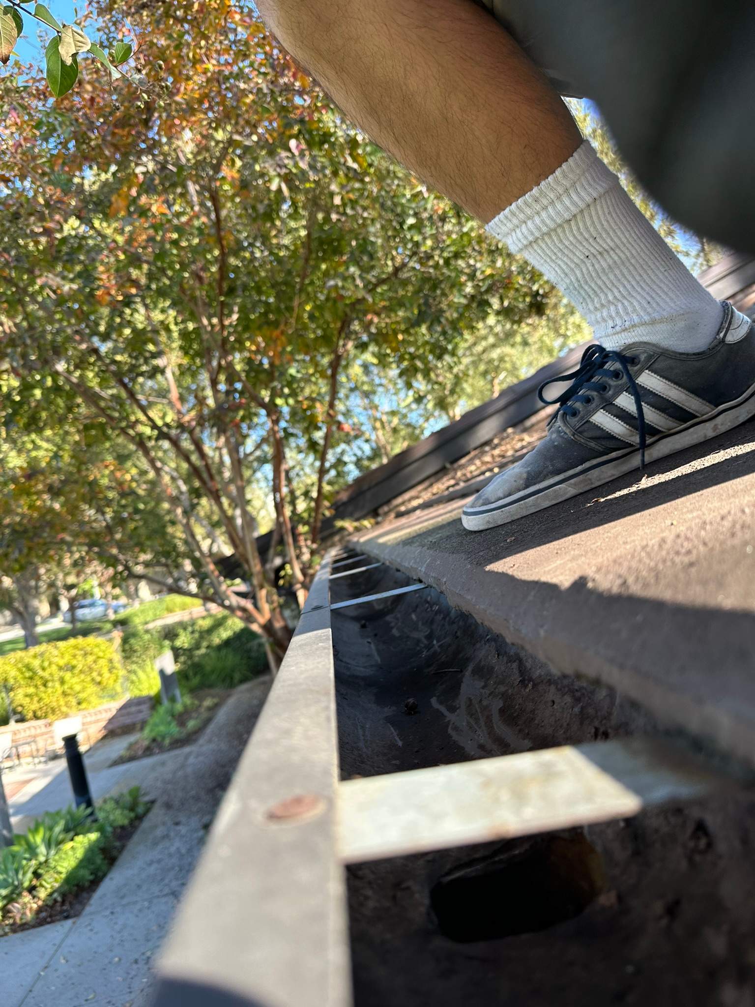 Orange County Gutter Cleaning by Property Cleaning Experts