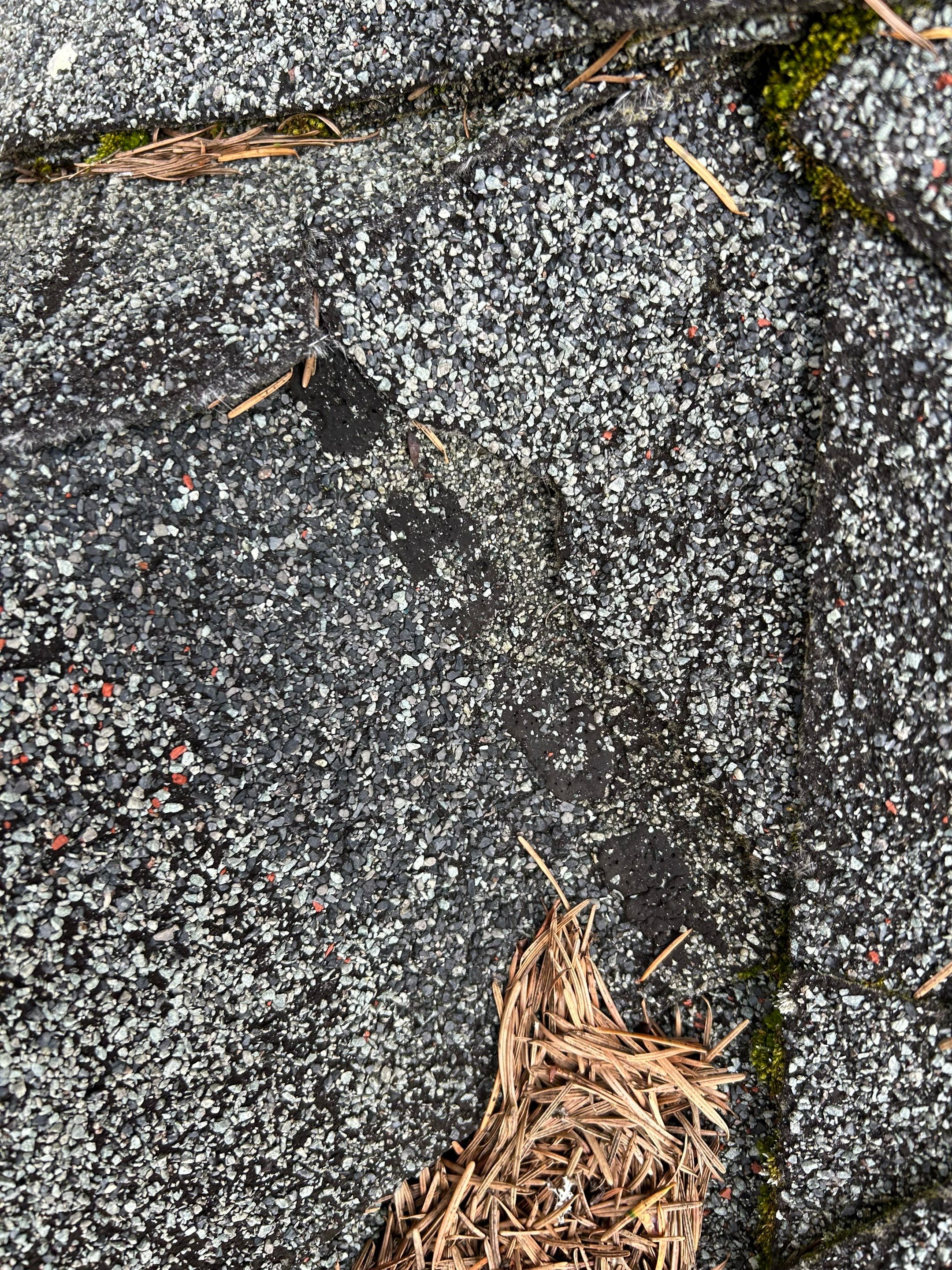 Project in Redmond by Connolly Construction Company