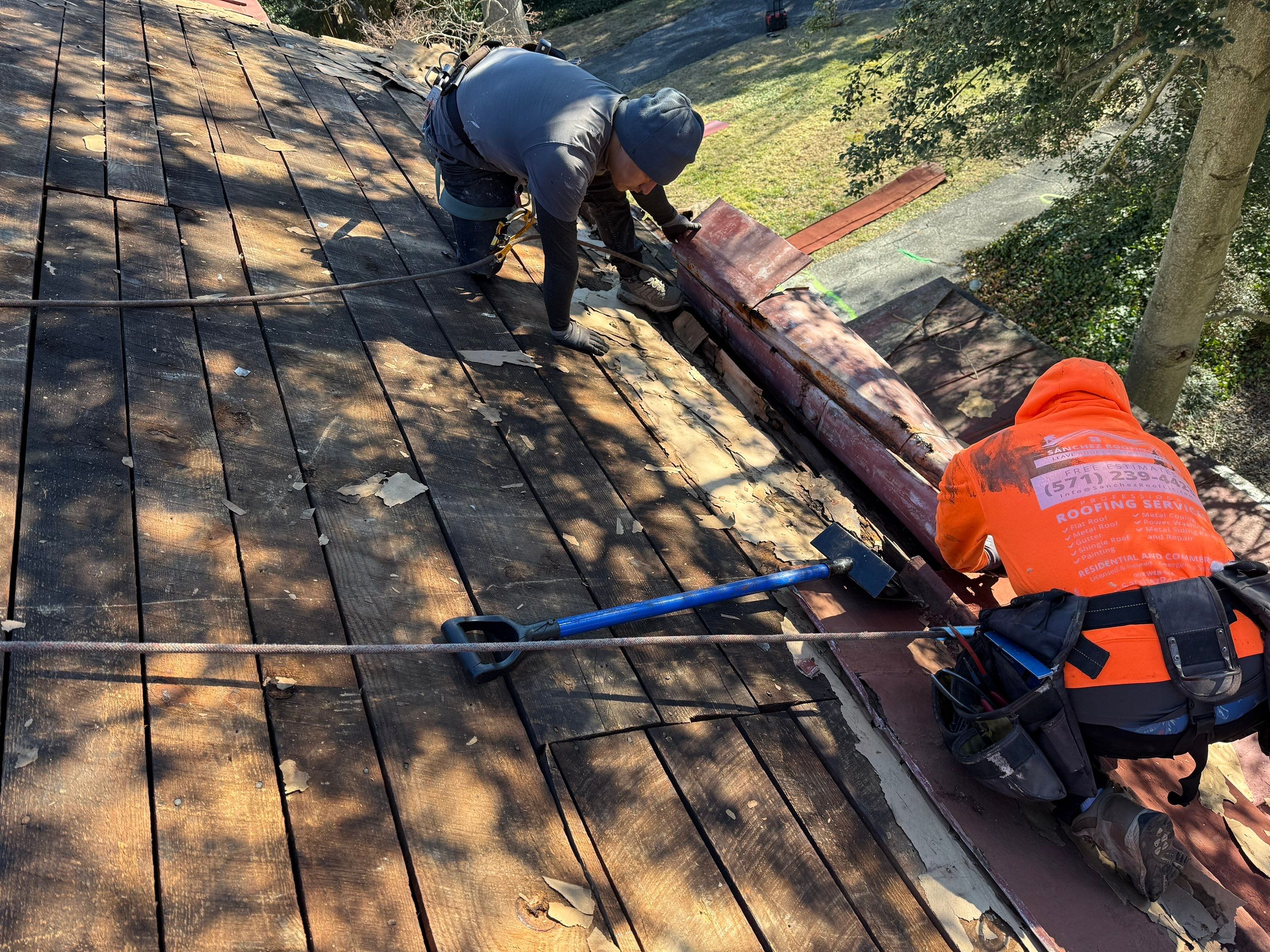 Alexandra: Residential Metal Roofing  by RM Banning, Inc.