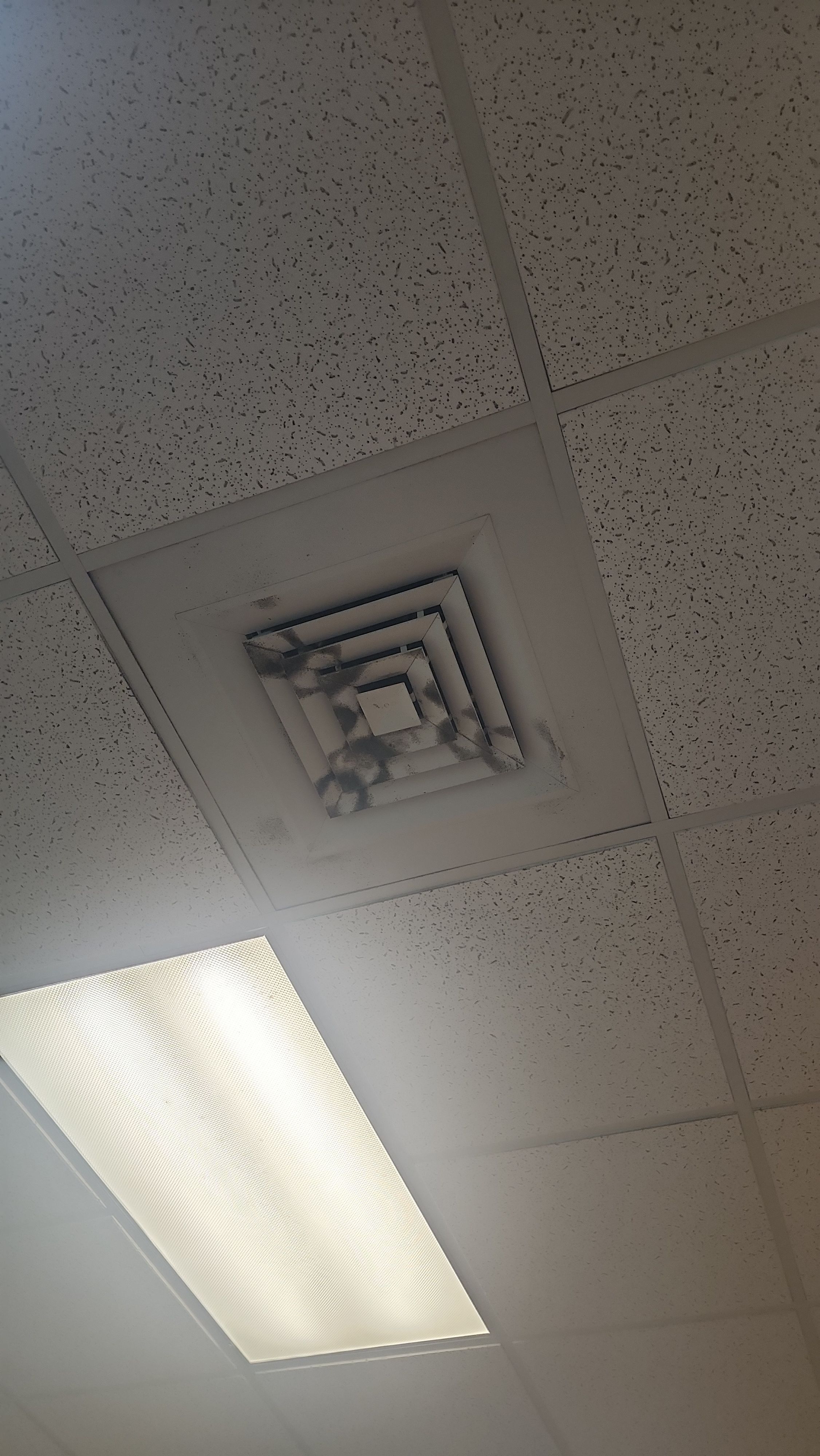 Commercial Air Duct Cleaning in Tavares by Hygienic Air, Inc