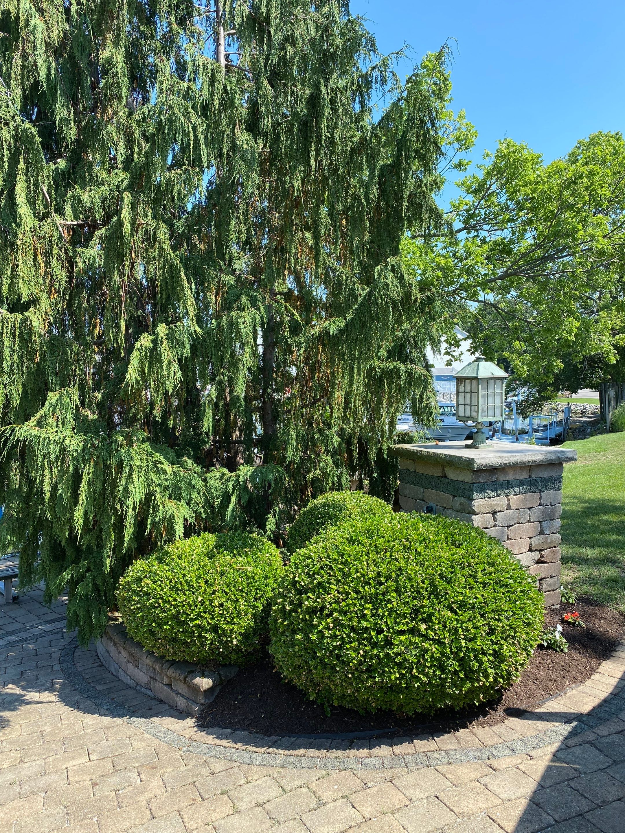 Lake House Maintenance by Elm Rose Gardens