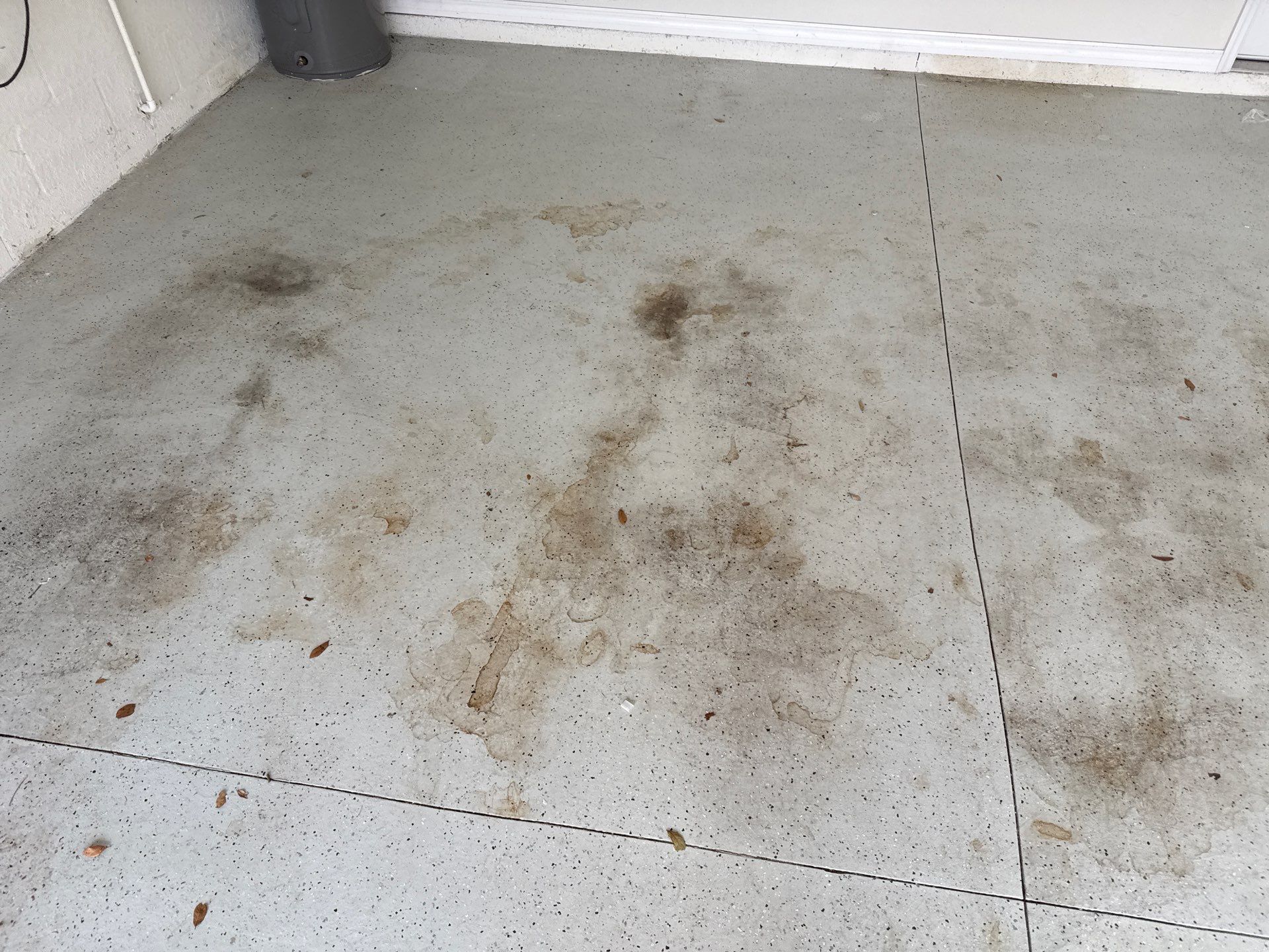 Pre-Sale Exterior Cleaning – Forest Creek Community, Parrish, FL by Sunshine AquaWash