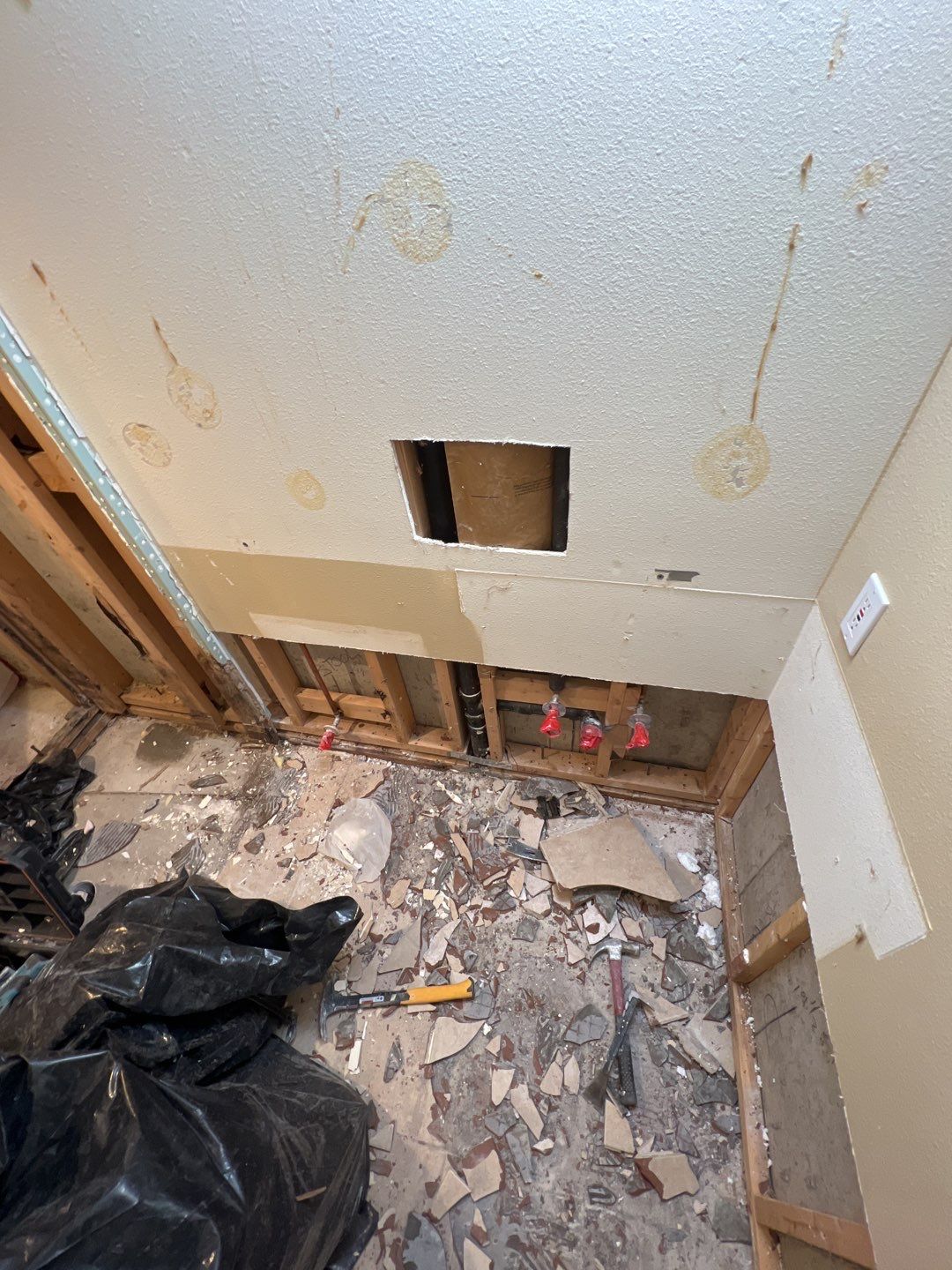 Mold Remediation by Accountable Home Services