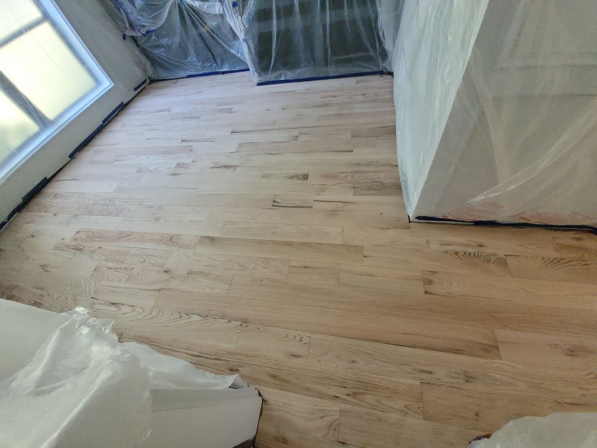 The Napolitano Family by SophAlx LLC