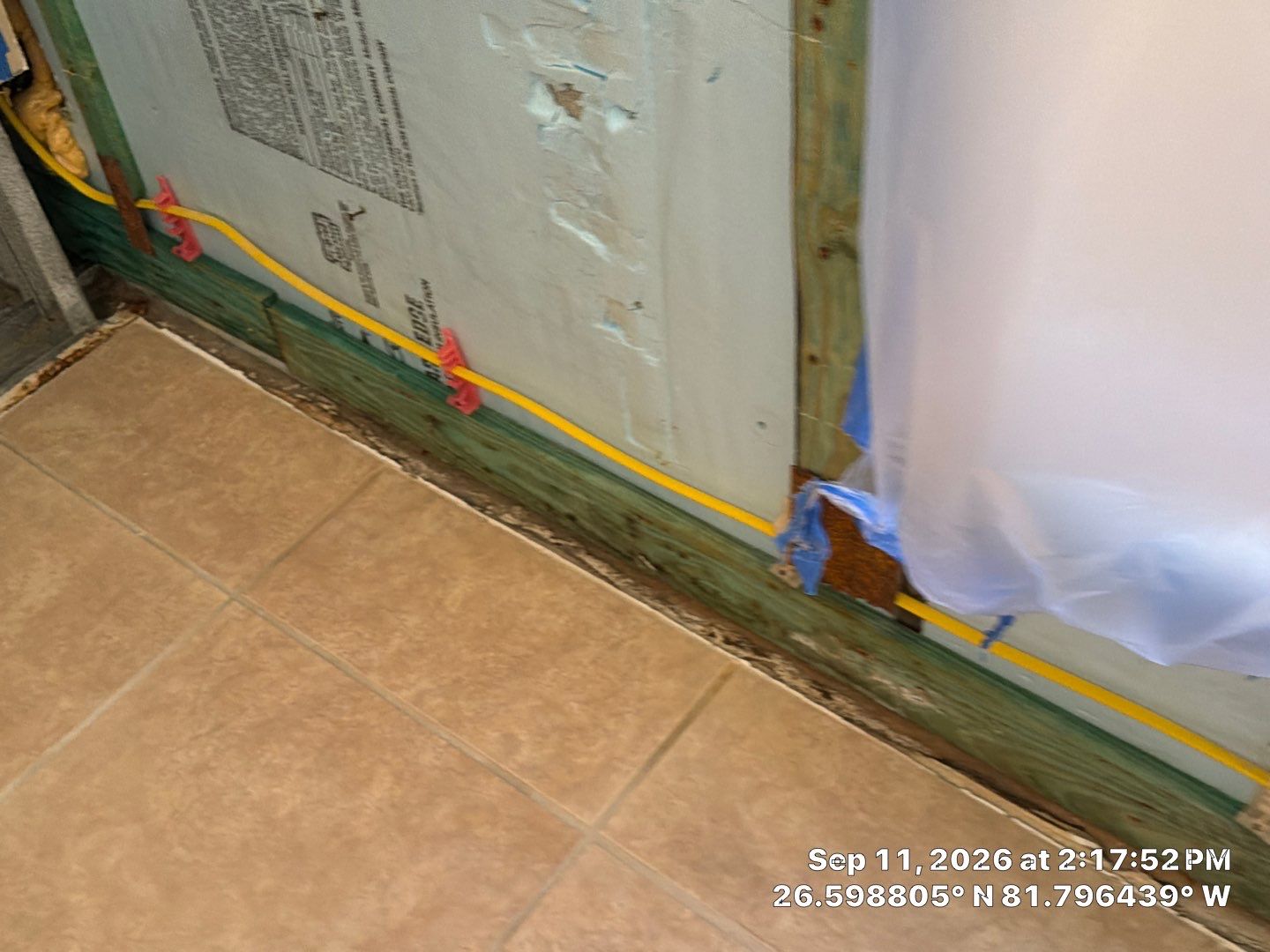 Fort Myers Water Damage Restoration and Professional Mold Remediation by Microscope