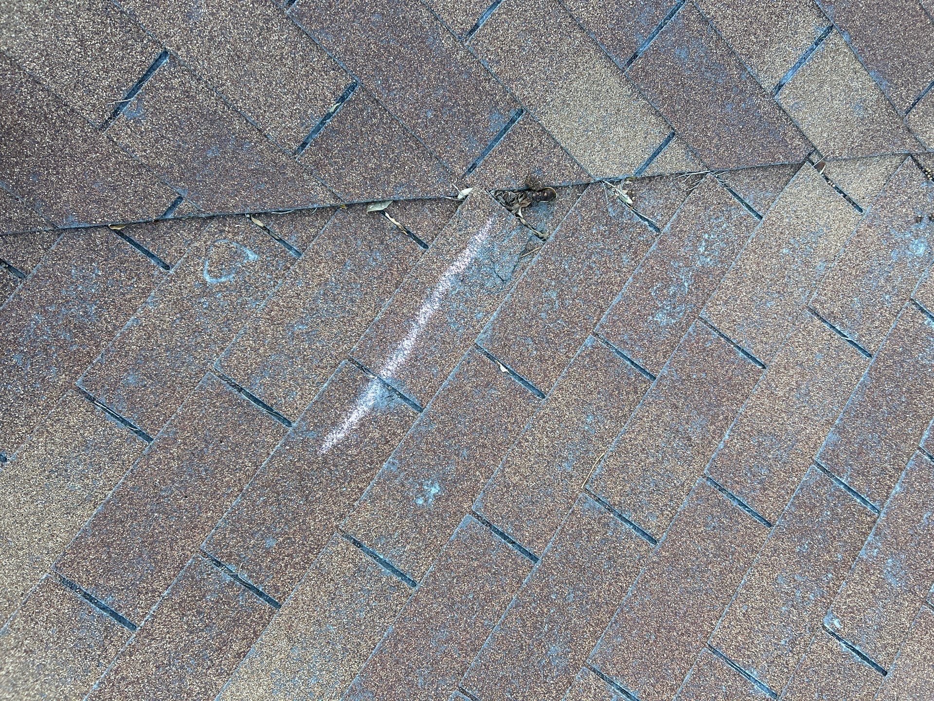 [Almost] All Trades by REPS OF TEXAS