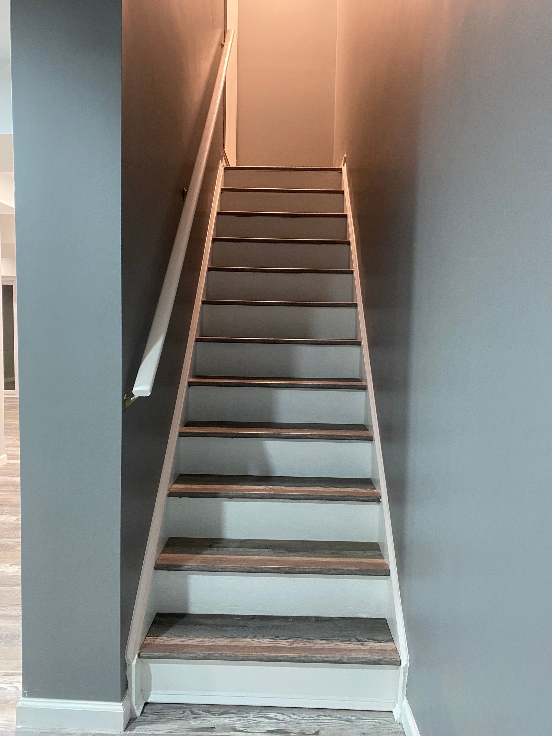Complete Basement Buildout by The Smet Companies, LLC