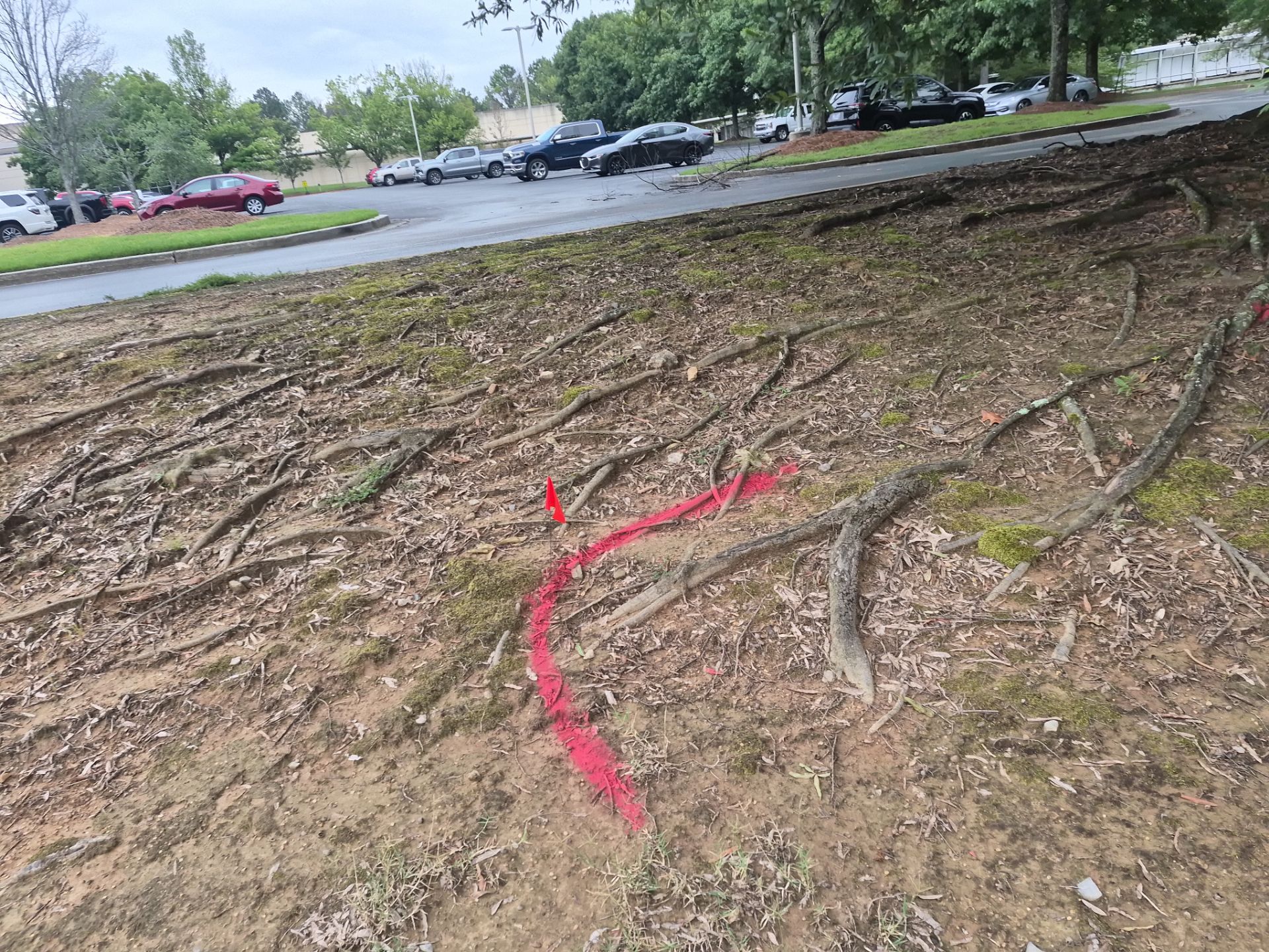 Private Utility Locating and Marking for Collierville Commercial Campus by Alsip Locating Service, LLC
