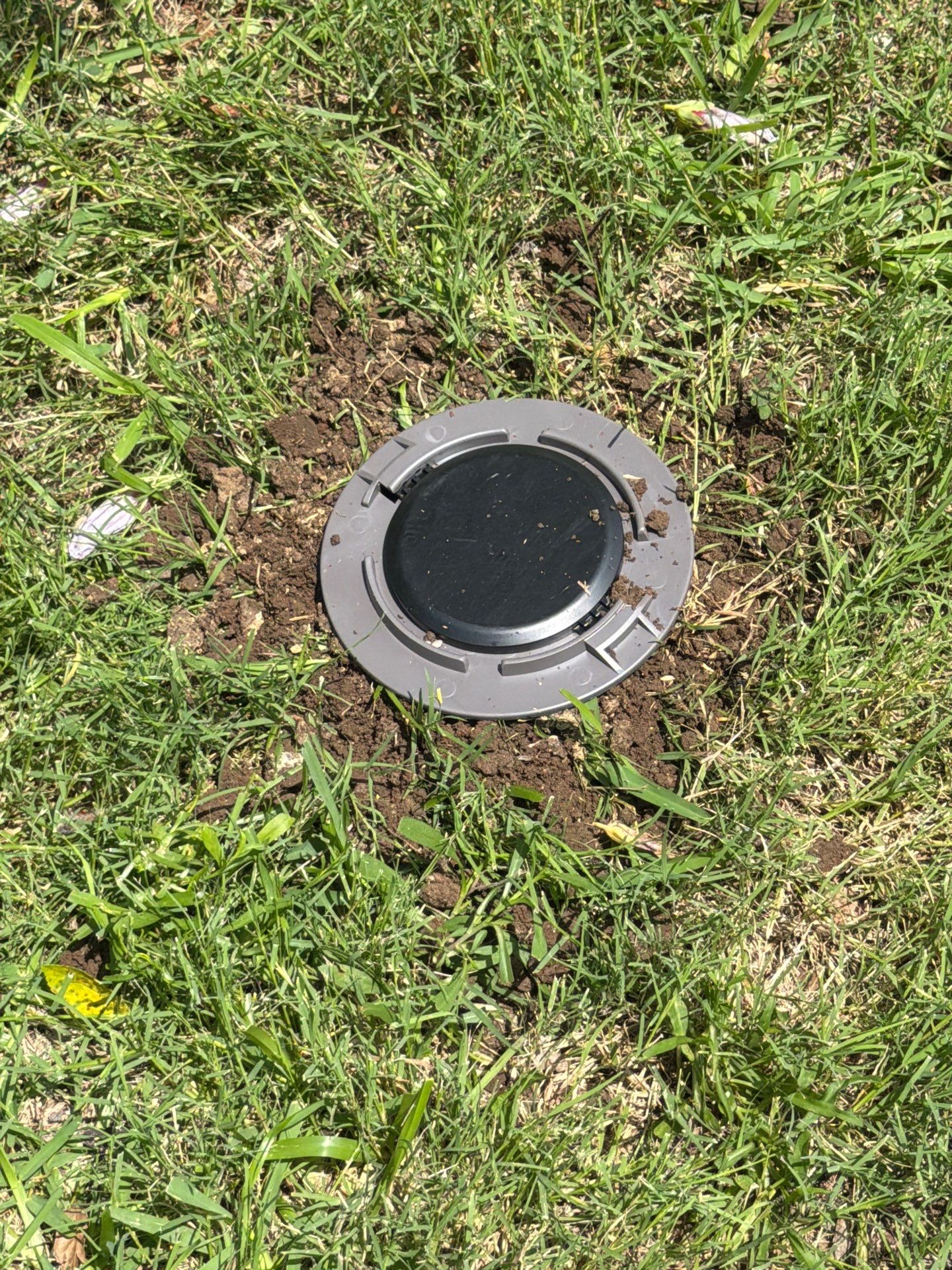 In-ground termite bait station installed in a McKinney TX lawn