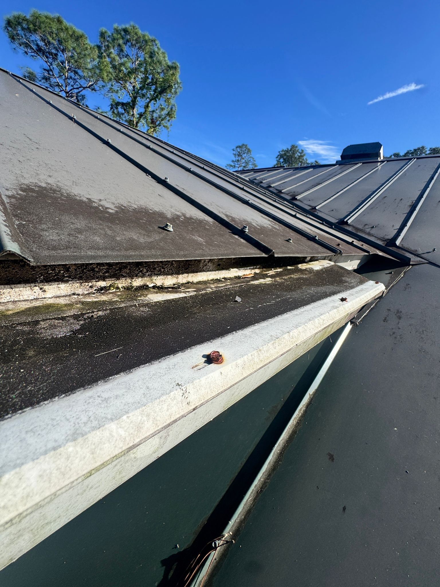Roof Damage Claim in Naples by FLAPA & KeyStone
