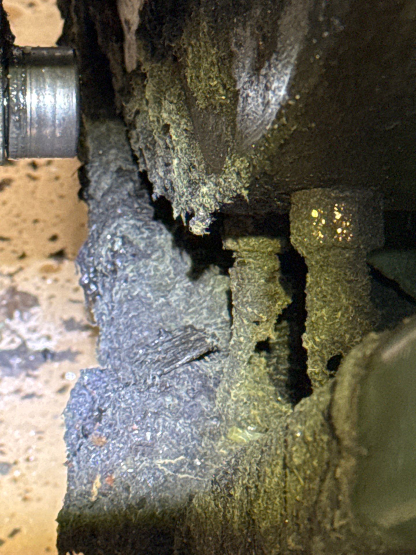 Baltimore L7 Compression repair by Altium Packaging