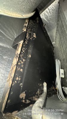 Air Duct Cleaning in Minneola