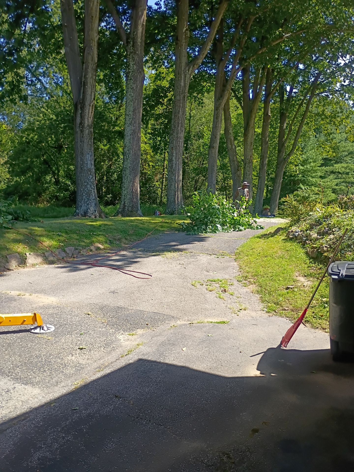 Tree Trimming & Tree Removal in Akron Ohio by Mike Jones & Sons Tree Service LLC 