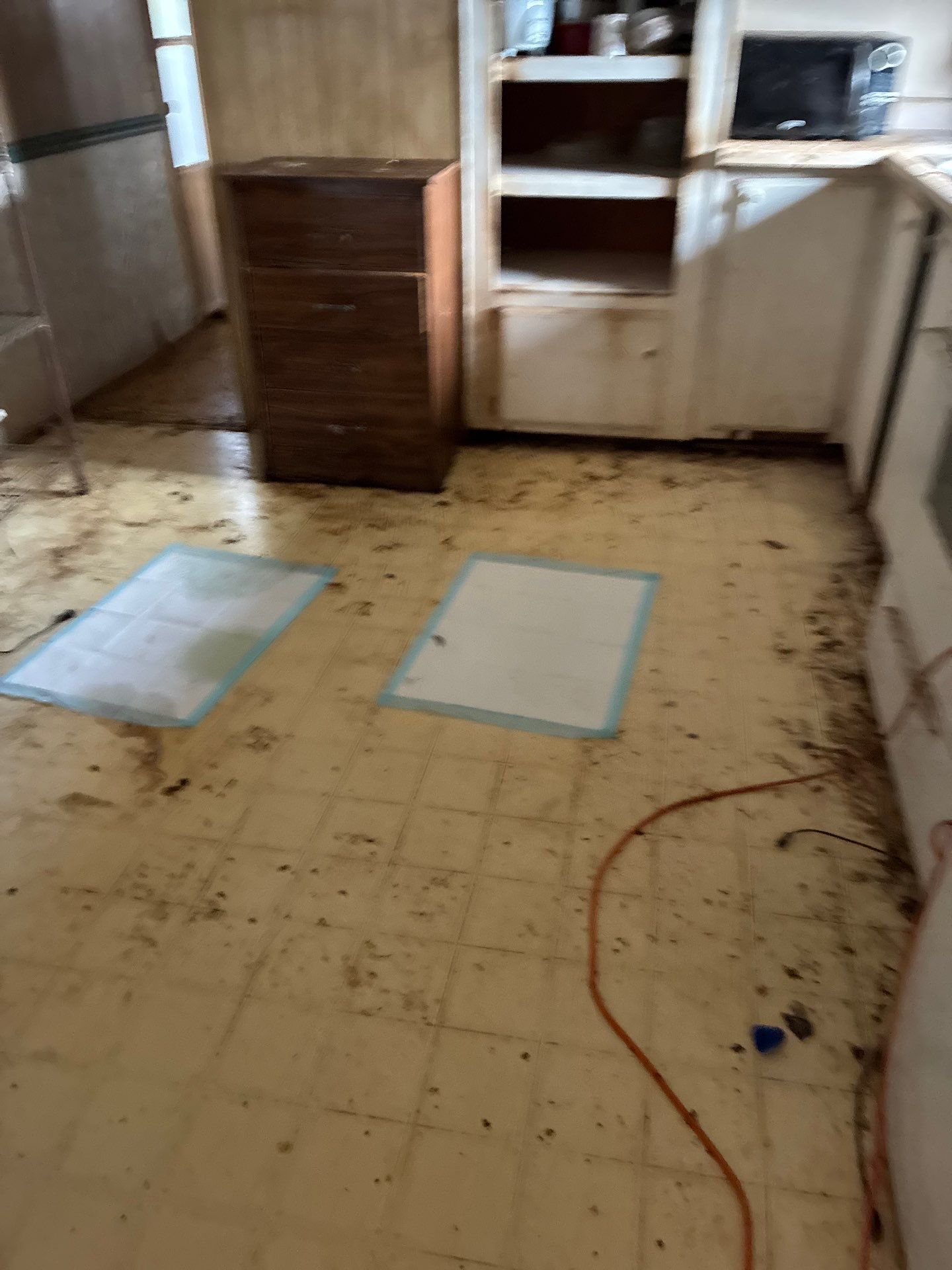 Project in Auburn by 911 Hazmat Cleanup 