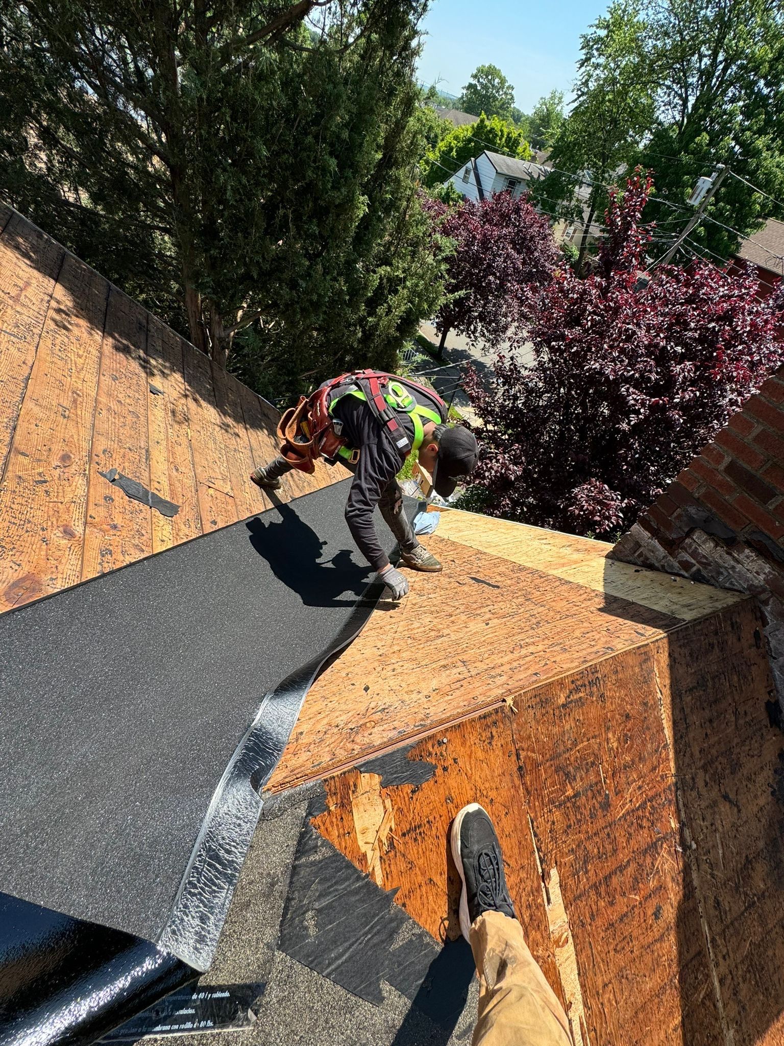 Desert Tan Shingles by Reimagine Roofing
