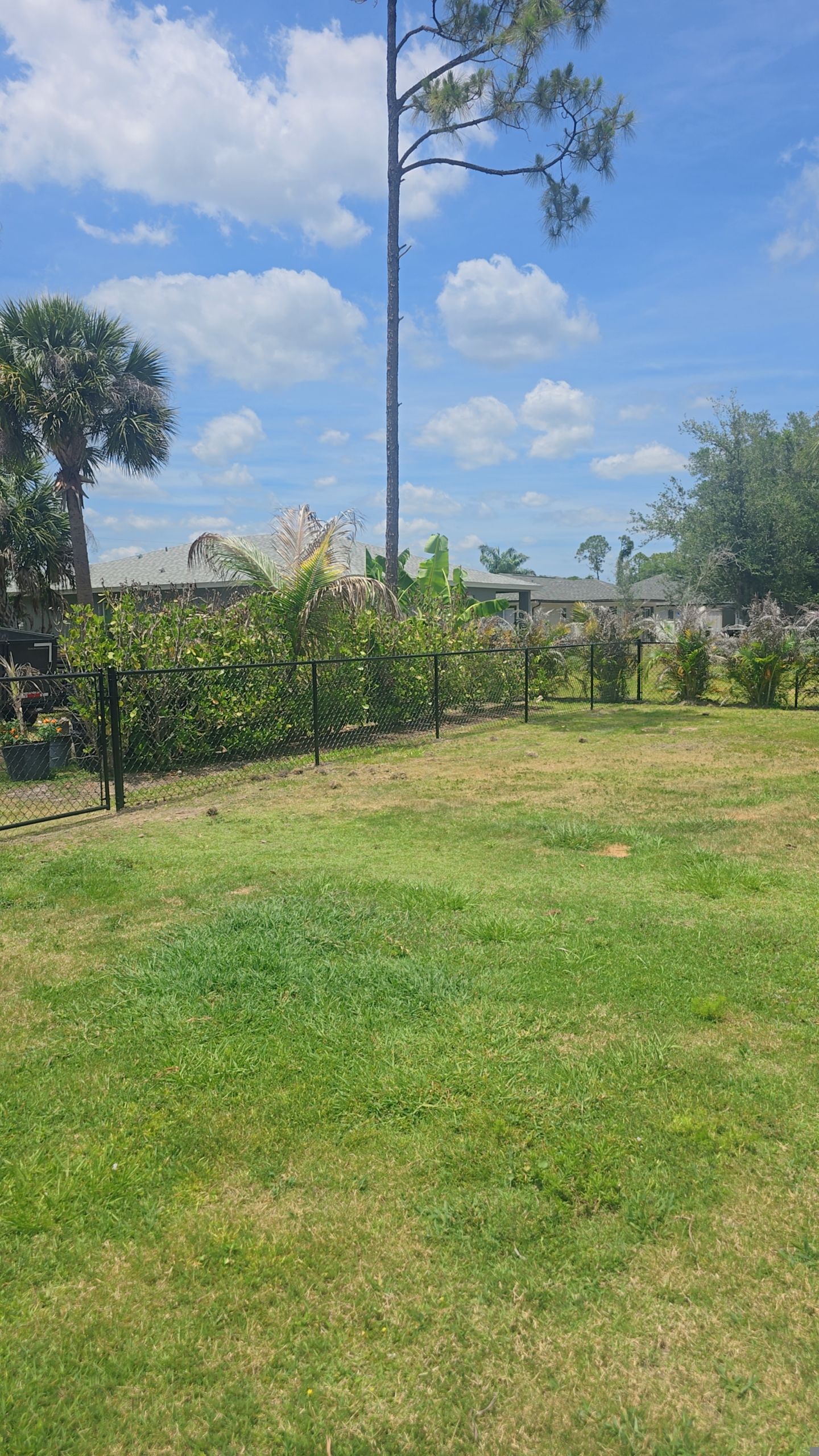 Chain Link Fence in North Port by True Fence LLC