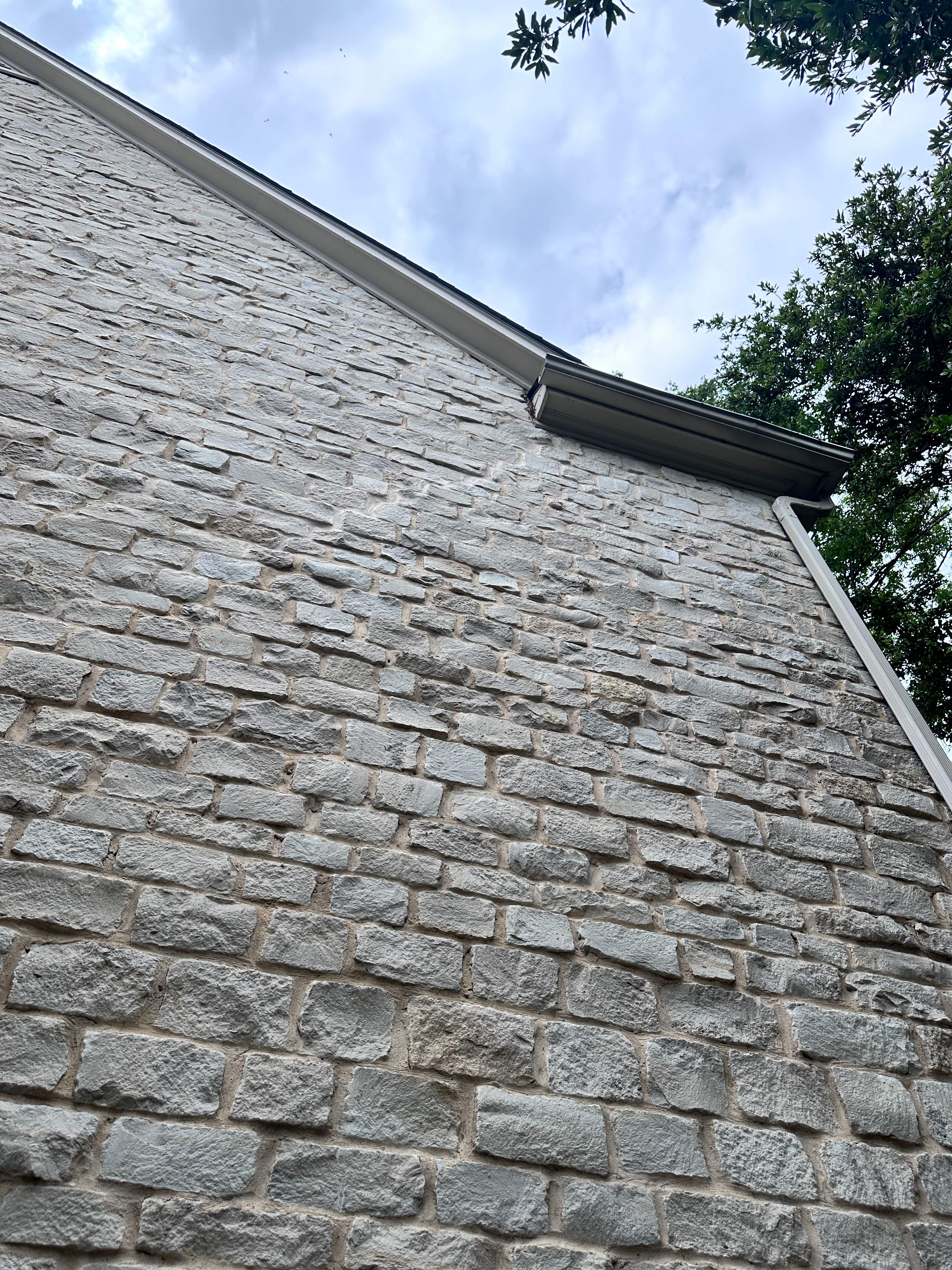 Way, WAY up! by Rockwall Honey Bee Company