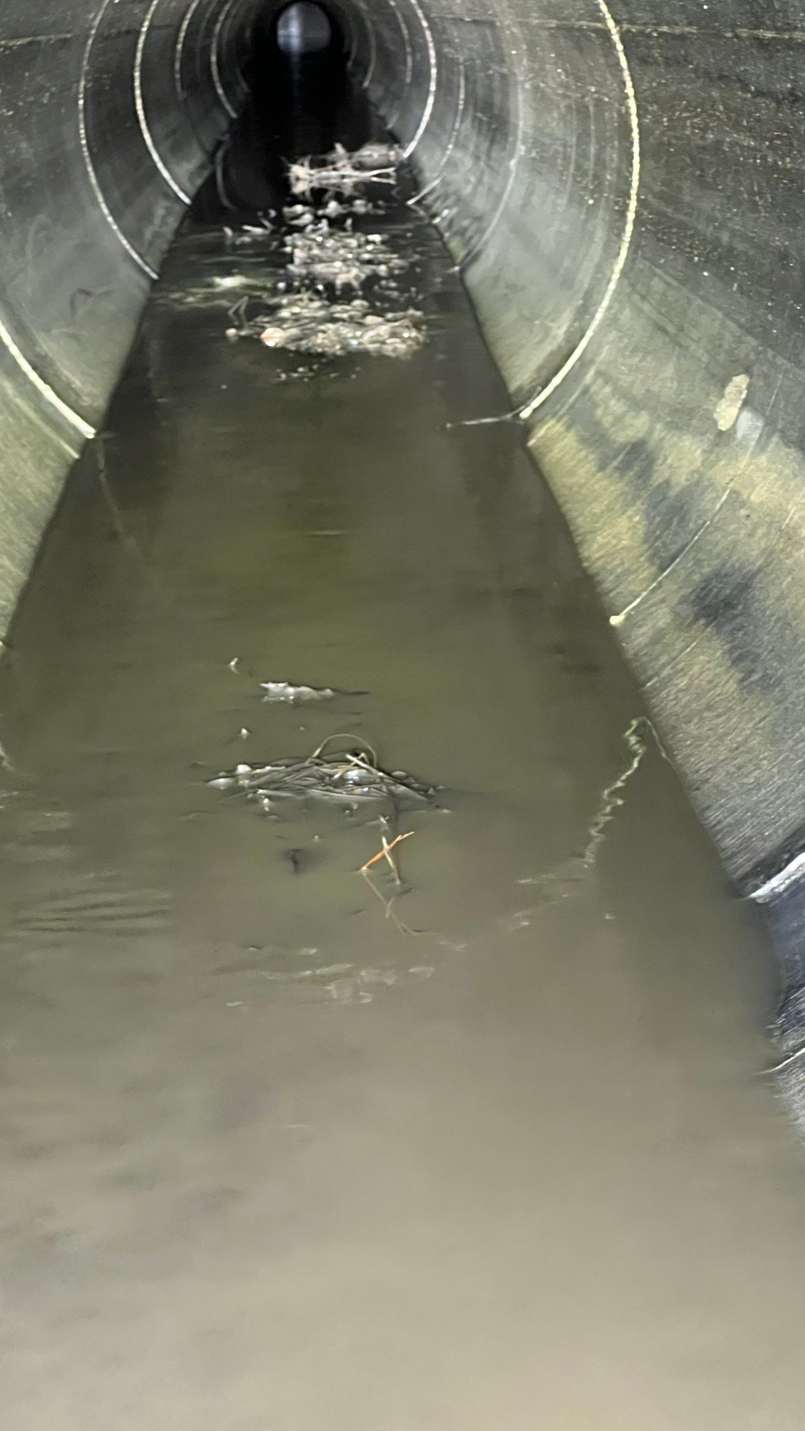 Naples Community Stormwater System Maintenance by APS Power & Water