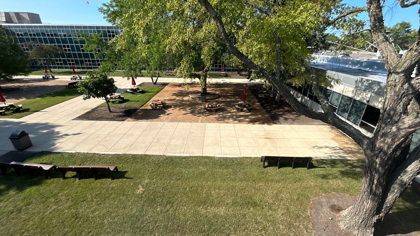 concrete using Algaecide, soft wash soap by Northern Power Washing LLC.