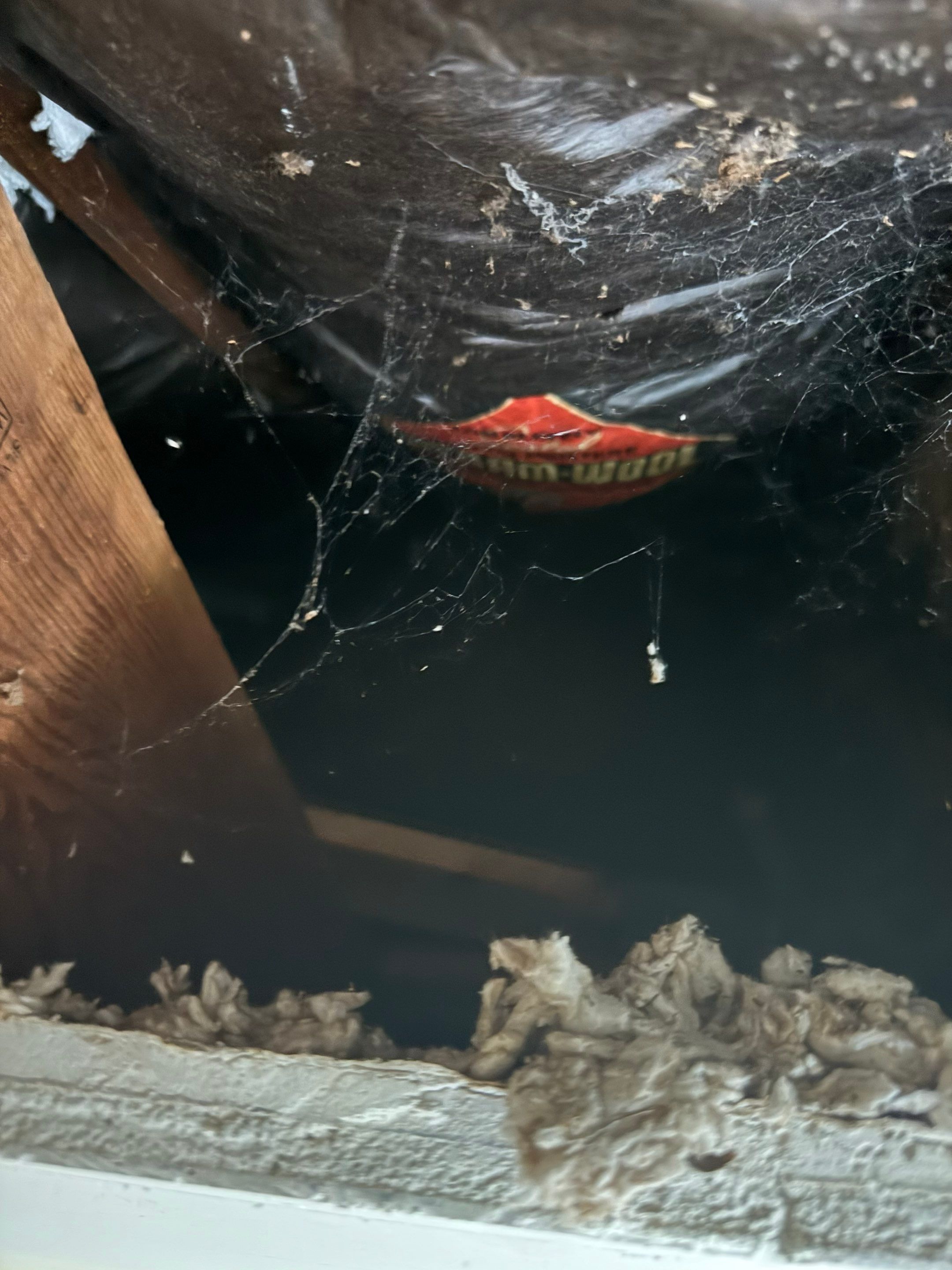 Bedroom Mold Remediation by Home Guarantee, LLC