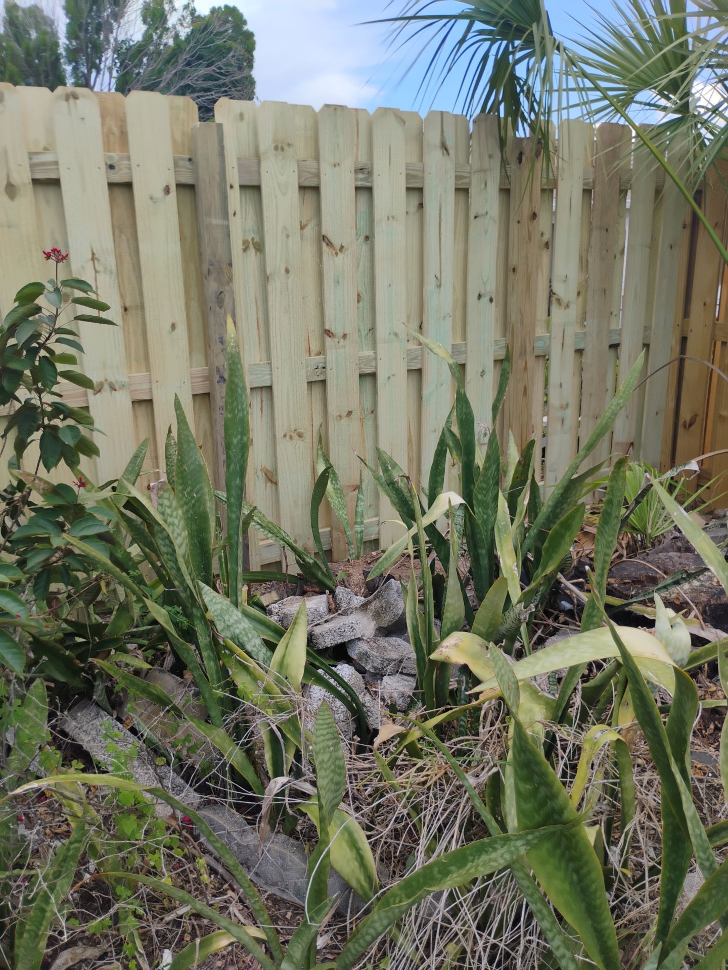 Pressure-Treated Wood Privacy Fence and Chain Link Installation in Port Charlotte by True Fence LLC