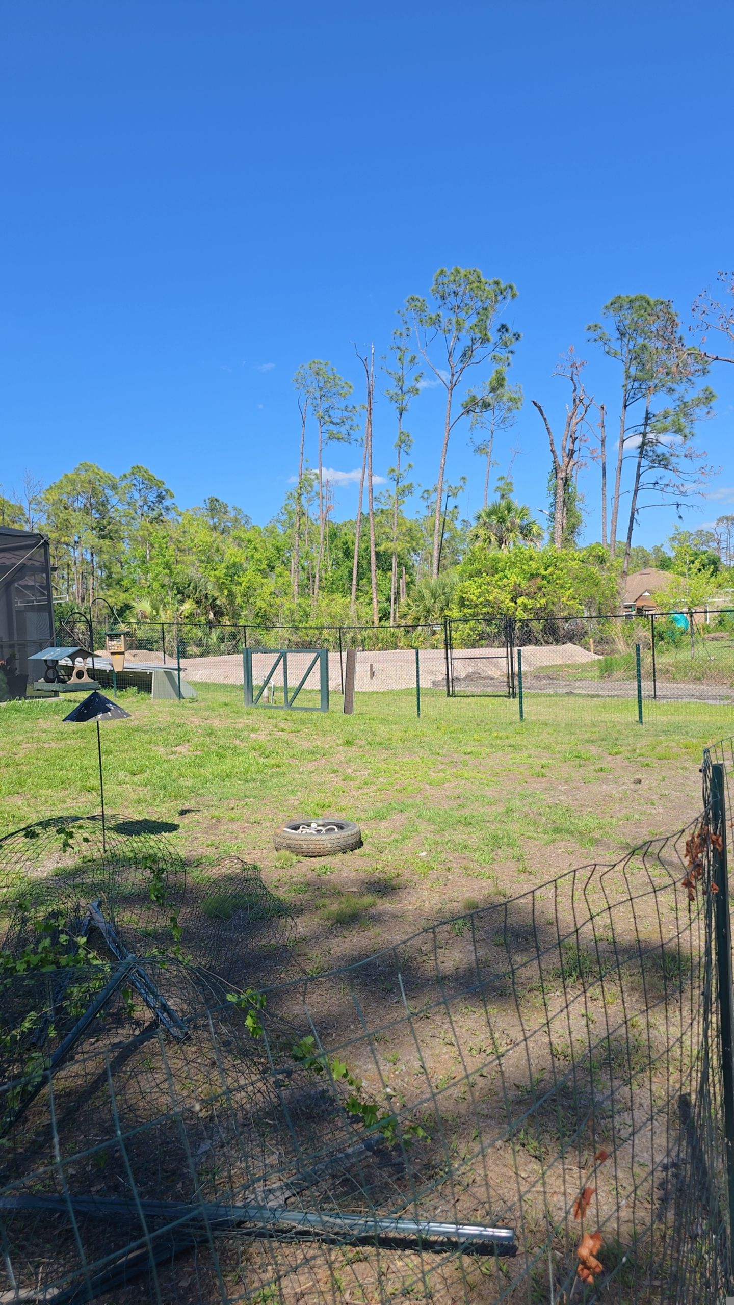 Chain Link Fence in North Port by True Fence LLC