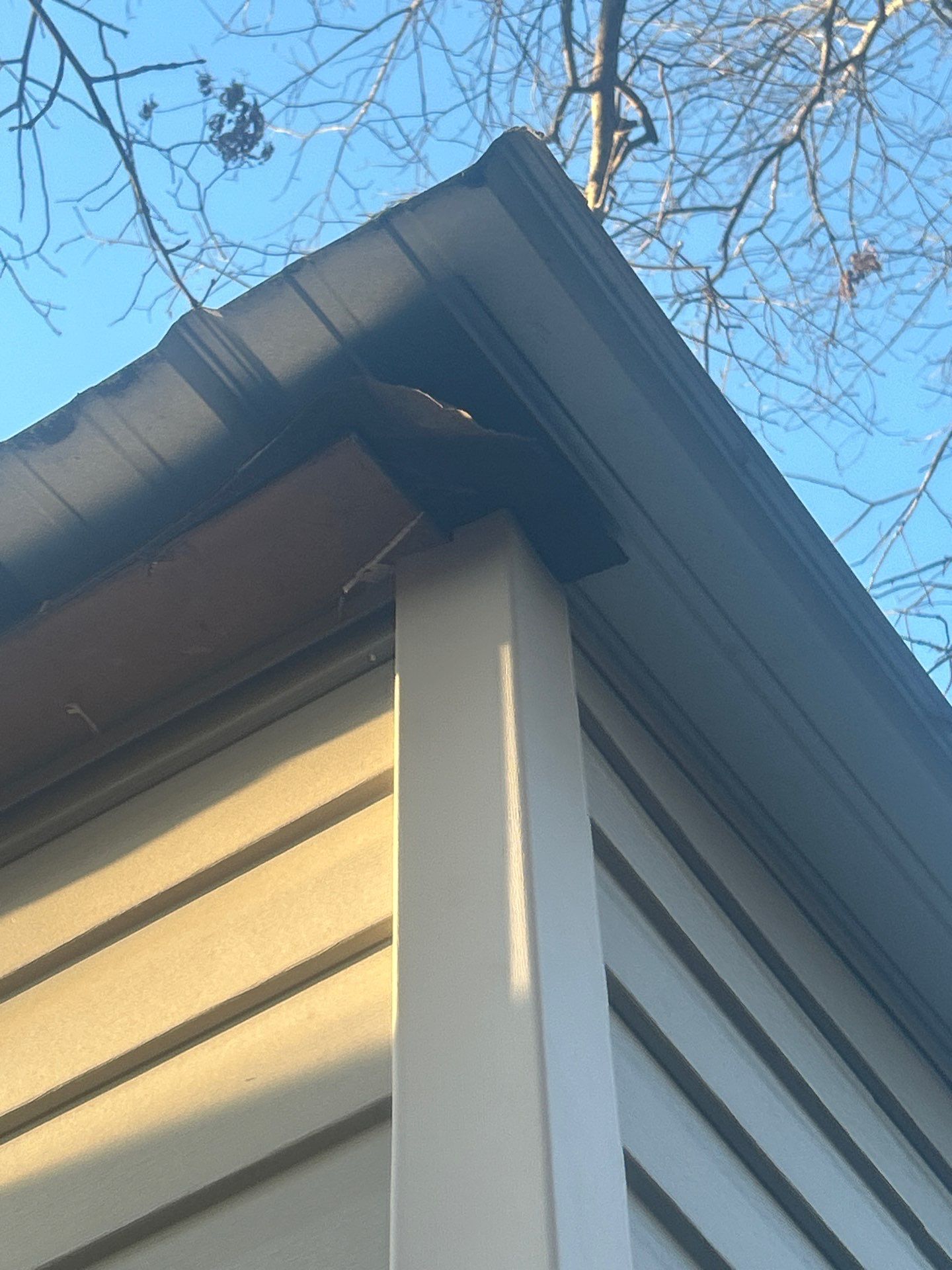 Residential Siding Repair in Bankston (Vinyl) by The Roofing Dudes