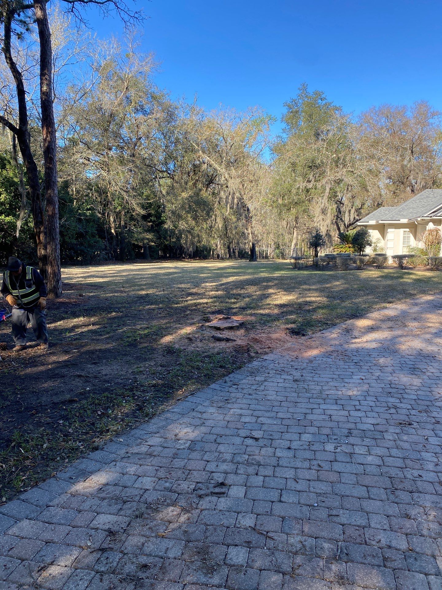 Deerwood Resident | Tree Removal by ProGreen Services