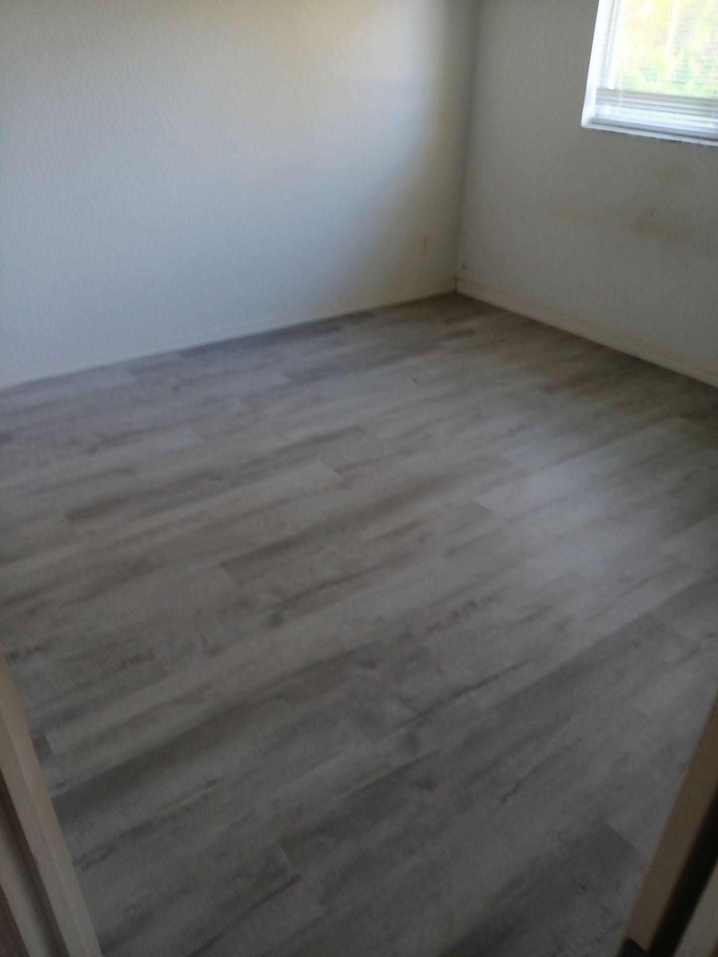 Mold Removal In North Port  by Ampm Restoration Services 