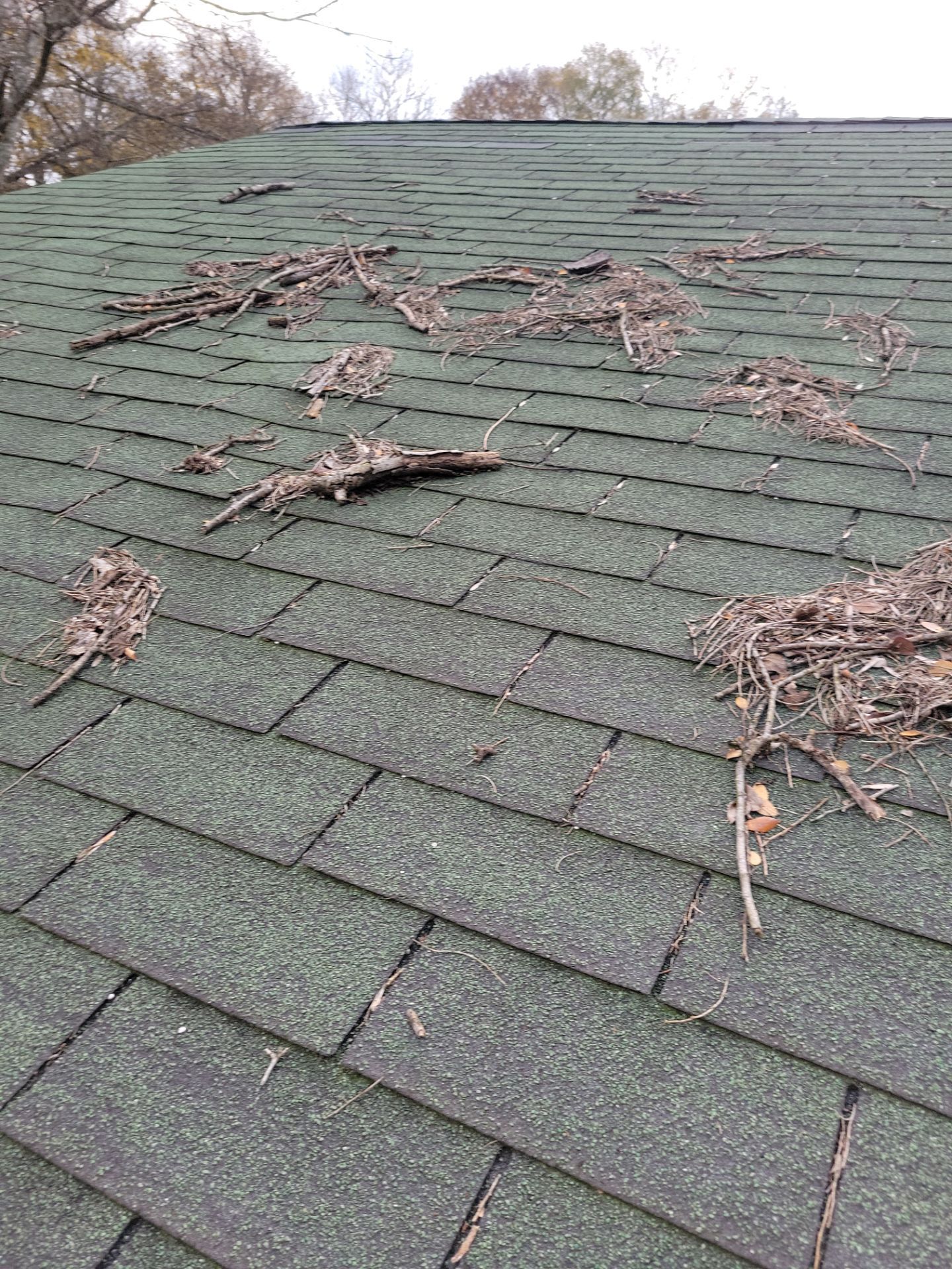 Residential Roofing Installation using Owens Corning Duration Shingle by Molandes Roofing