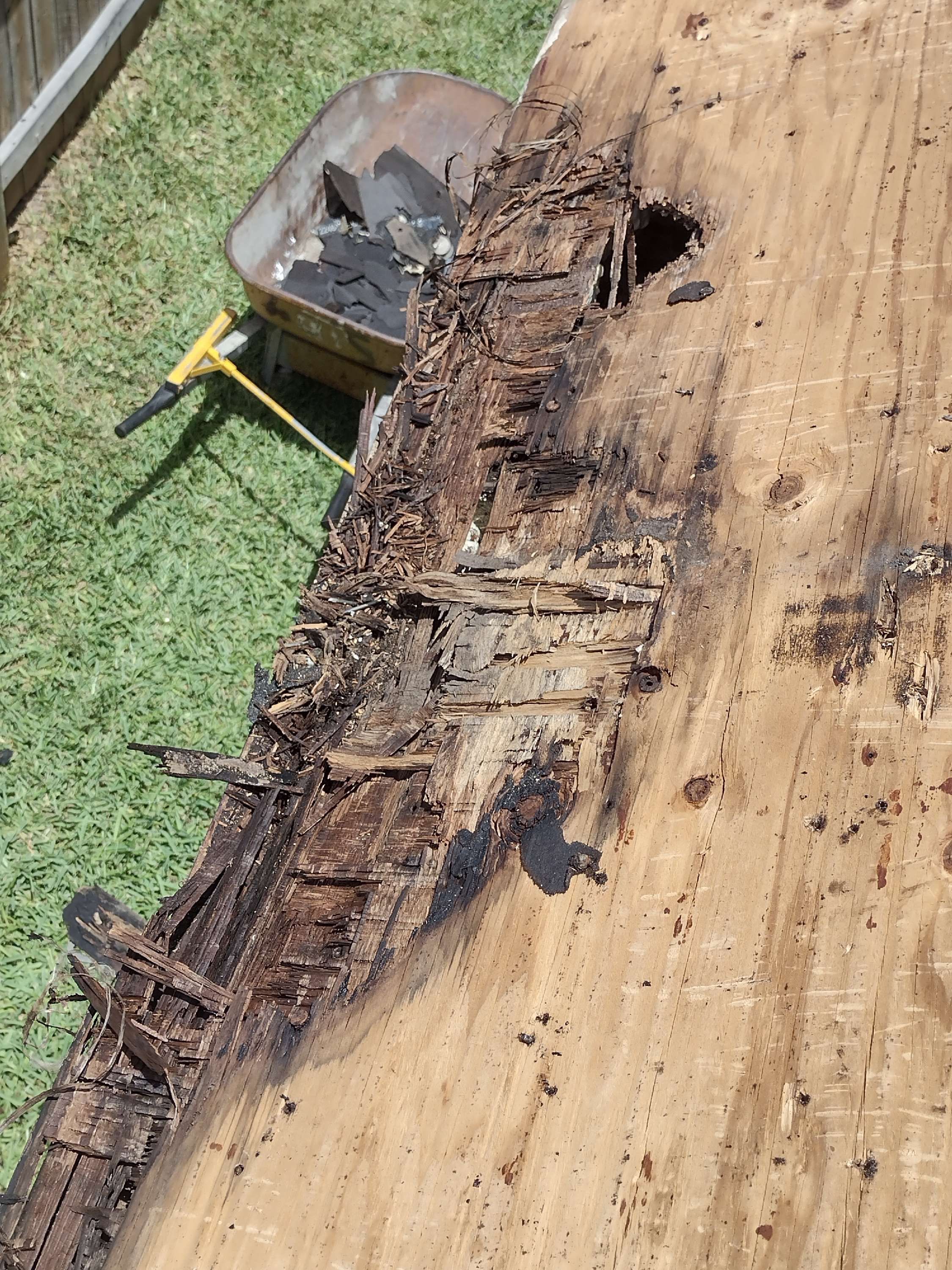 Edinburg Roof Project  by Bison Roofing  