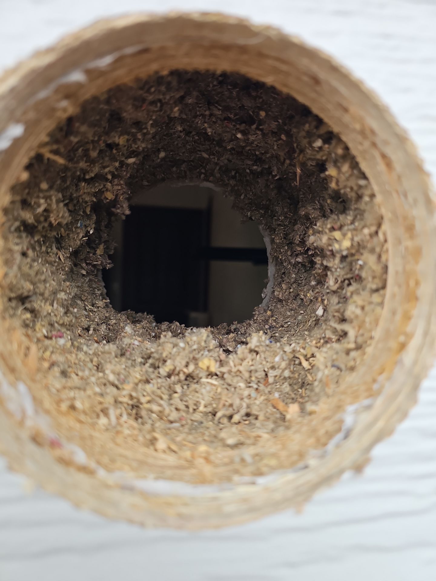 Dryer Vent Installation by Loyal Nine