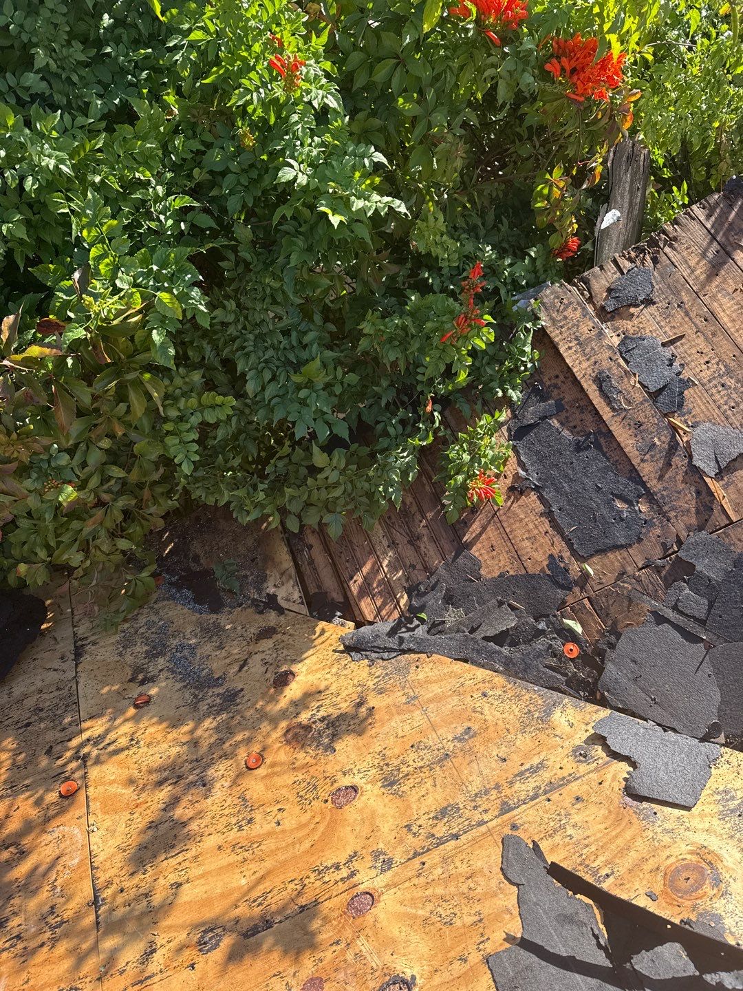 Project in St. Petersburg 33704 by Mitchell Roofing Company LLC