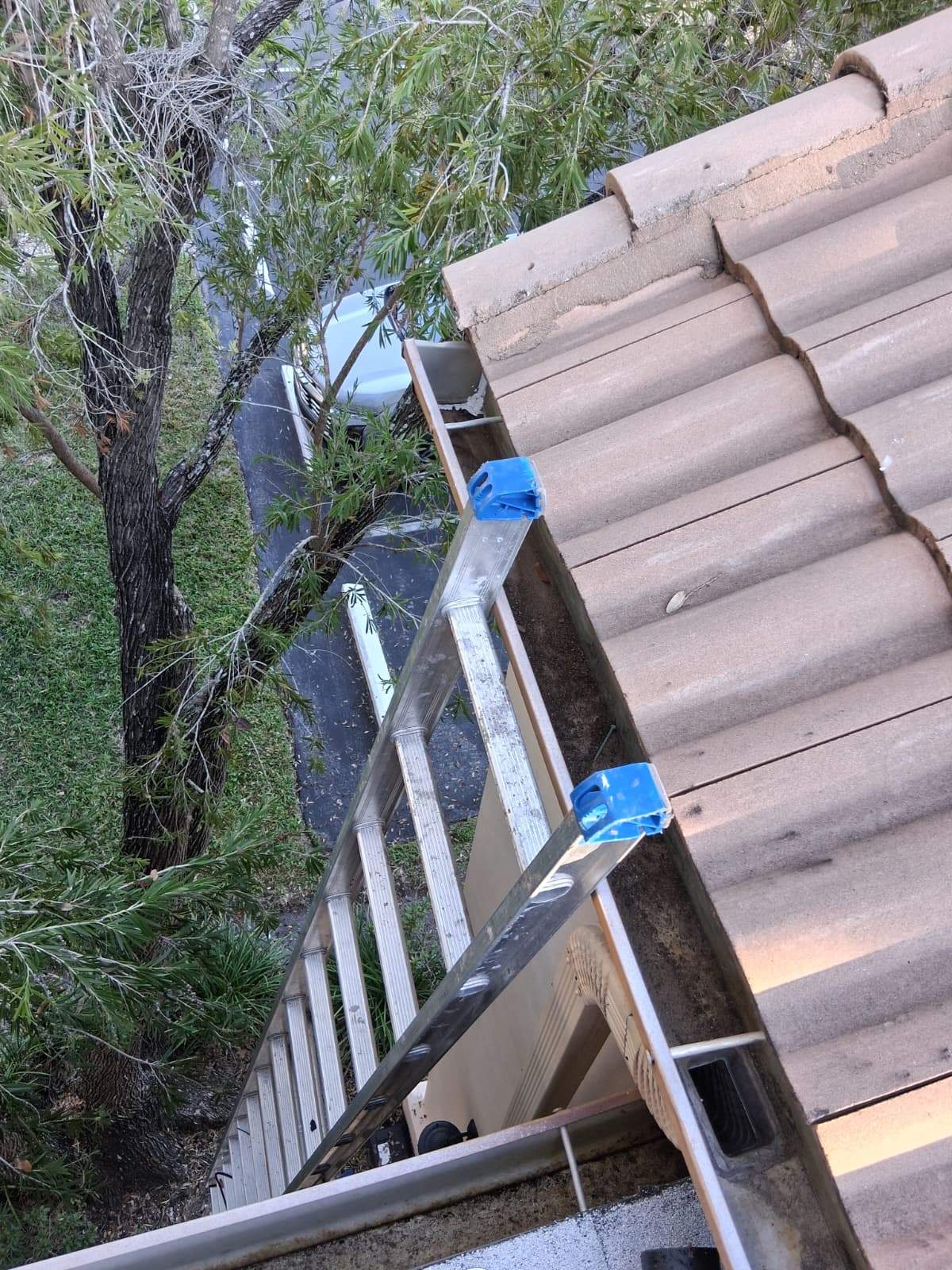 Gutter Cleaning Service in Sarasota FL by Gutter Professors