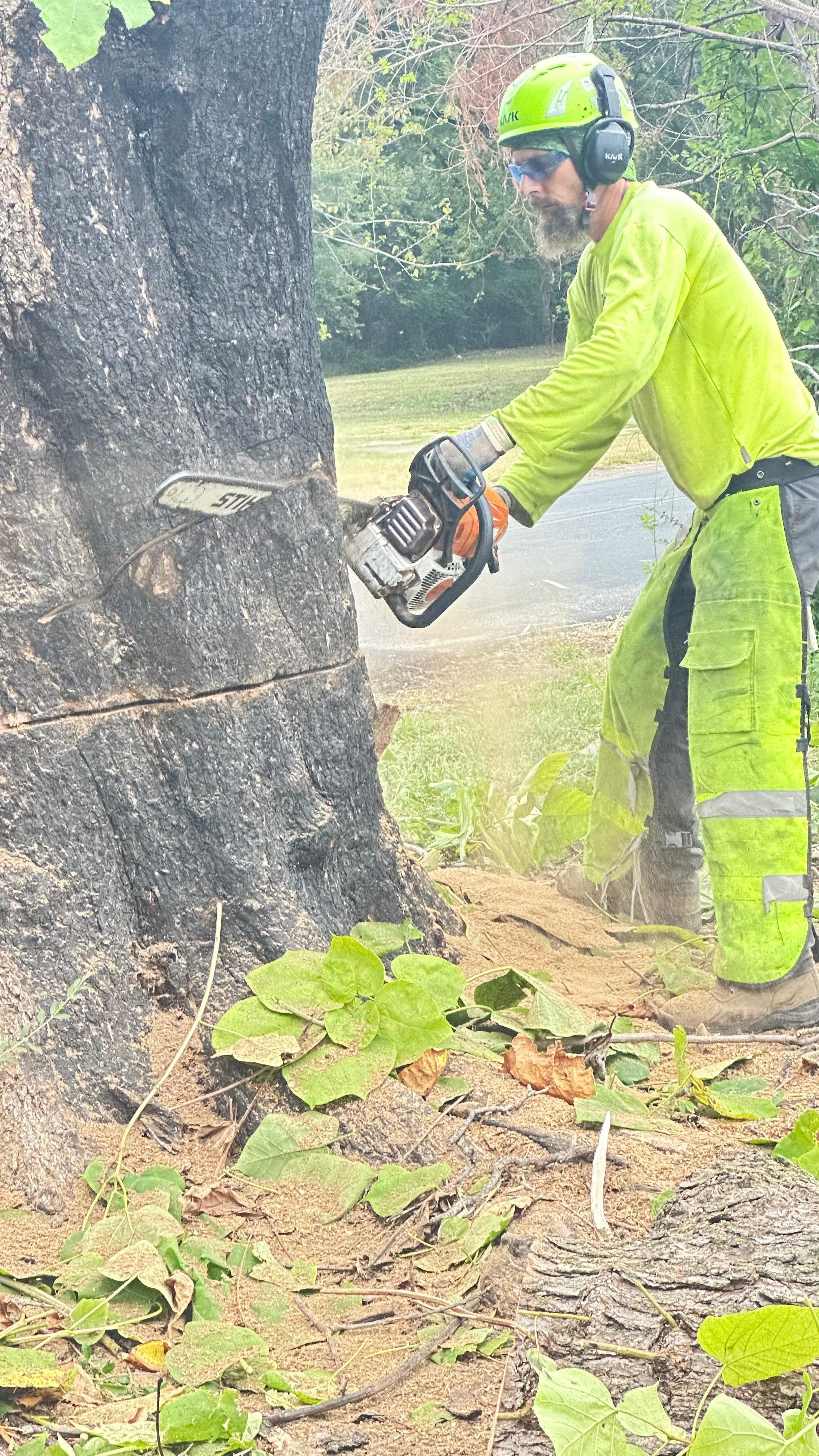 City Tree Company  by Rockwall Honey Bee Company