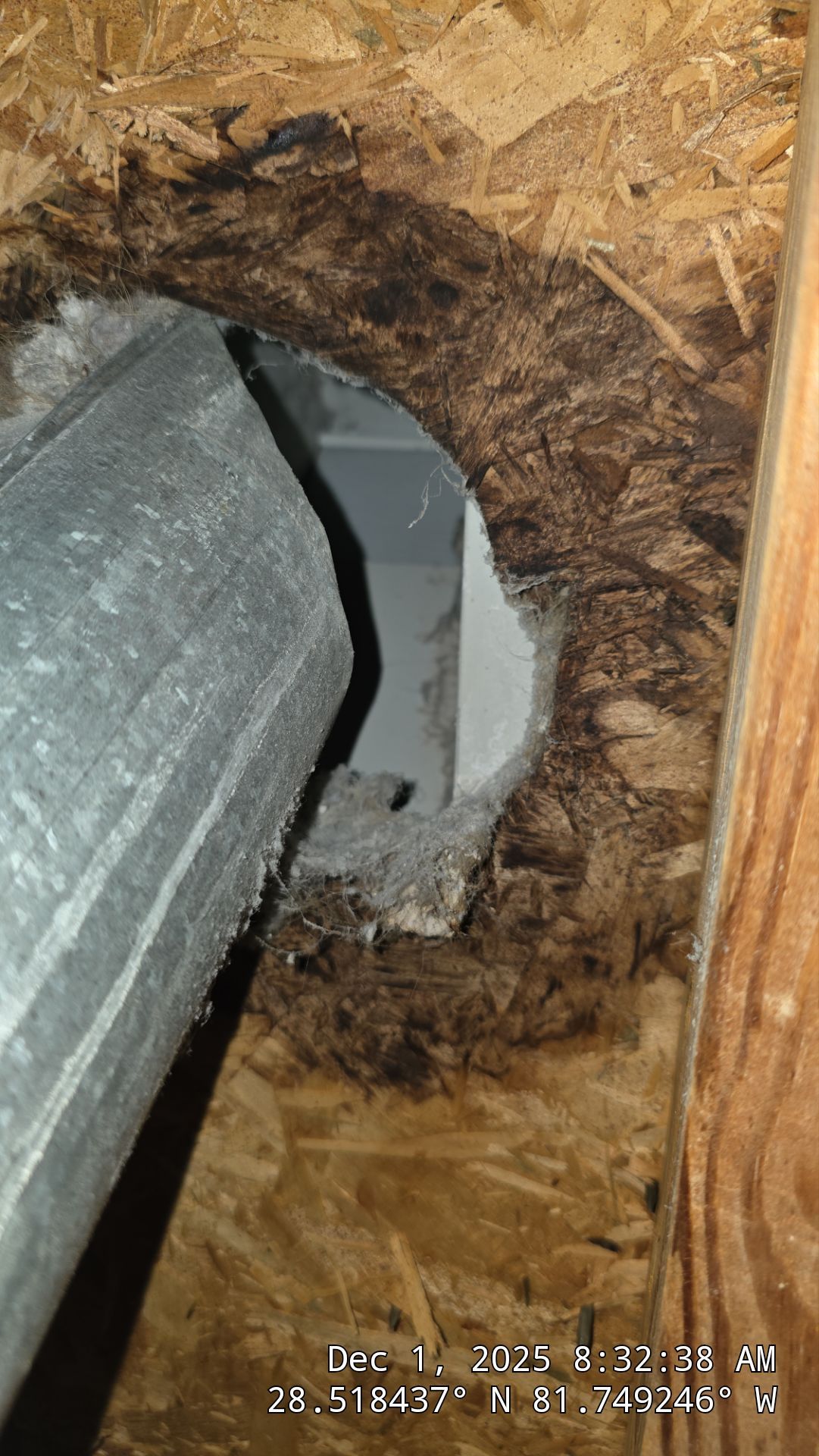 Air Duct Cleaning Dryer Vent Repair in Clermont by Hygienic Air, Inc