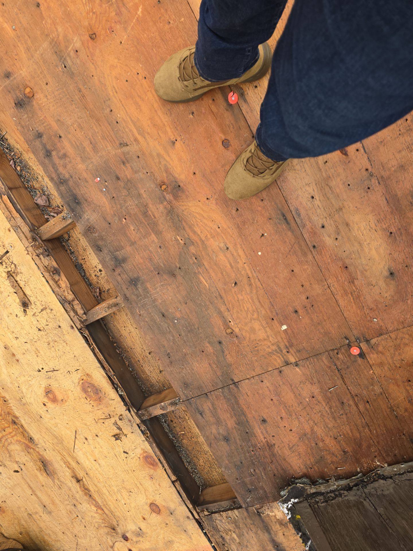 Residential Roof Replacement and Plywood Sheathing Repair in Torrington by A Plus Exterior