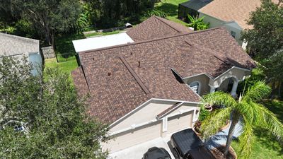 Roof Replacement in Lithia, FL