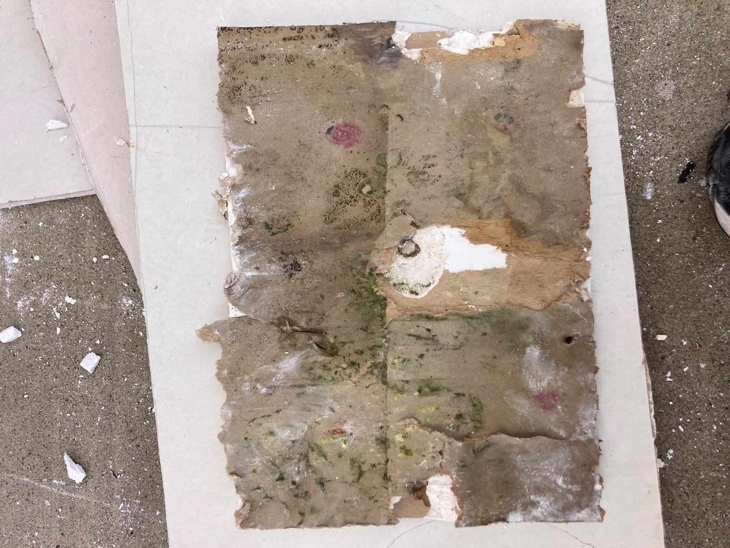 Large Ceiling Drywall Repair by Andre Handyman